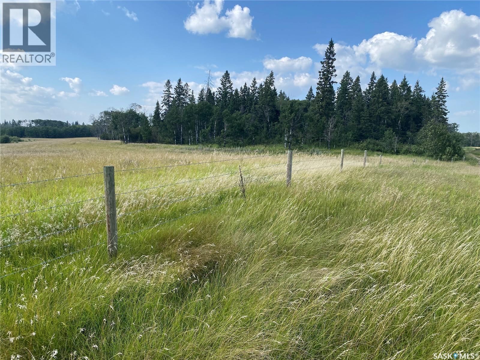 Leask Farmland, Leask Rm No. 464, Saskatchewan  S0J 1M0 - Photo 10 - SK046067