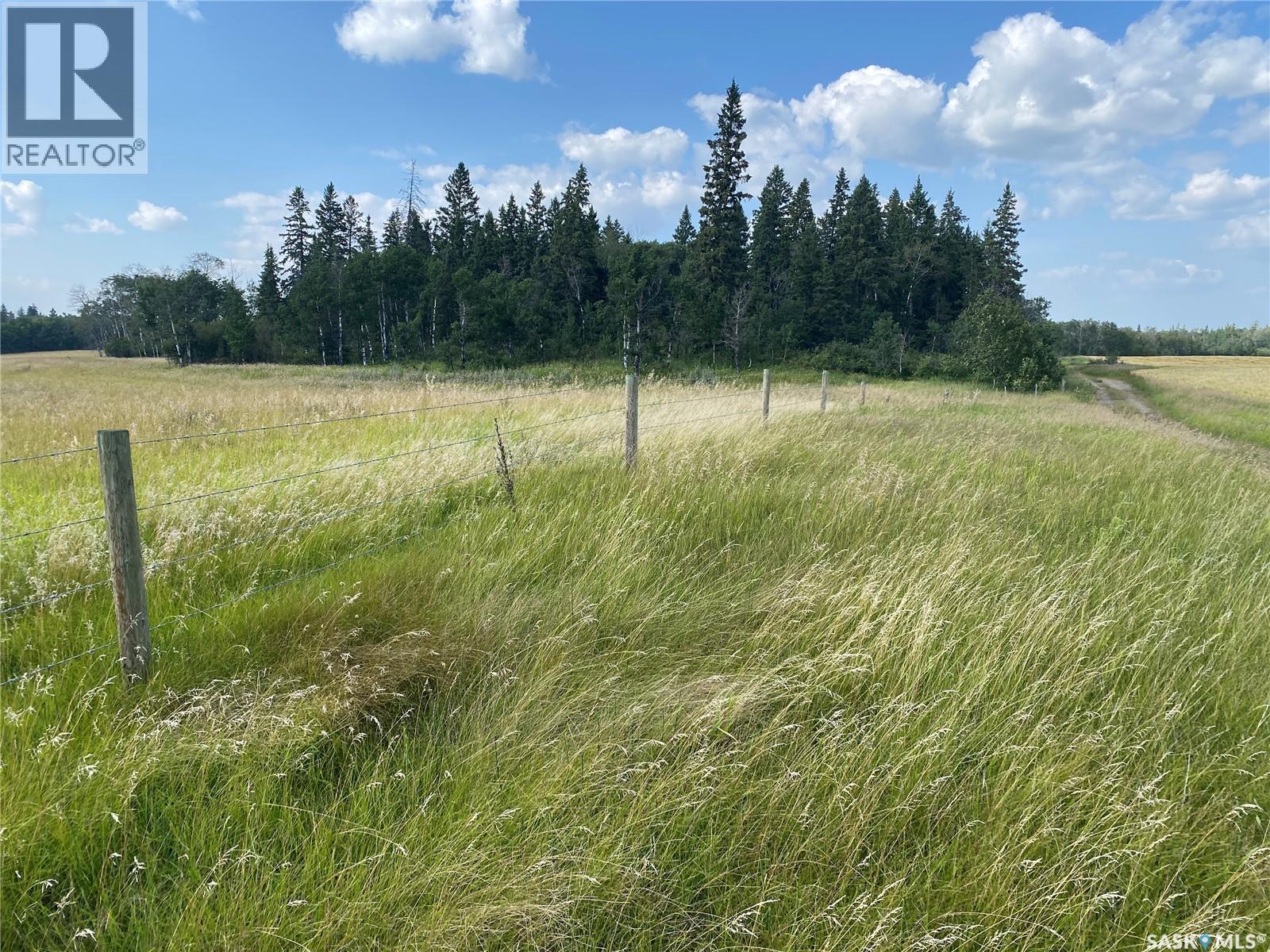 Leask Farmland, Leask Rm No. 464, Saskatchewan  S0J 1M0 - Photo 11 - SK046067
