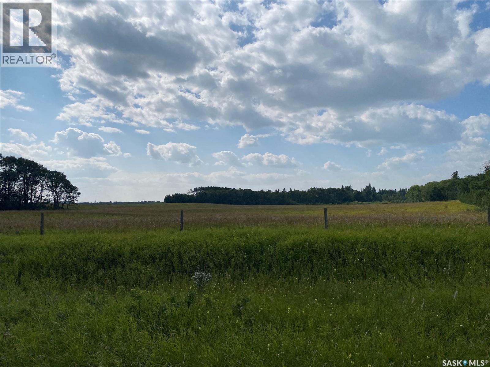 Leask Farmland, Leask Rm No. 464, Saskatchewan  S0J 1M0 - Photo 12 - SK046067
