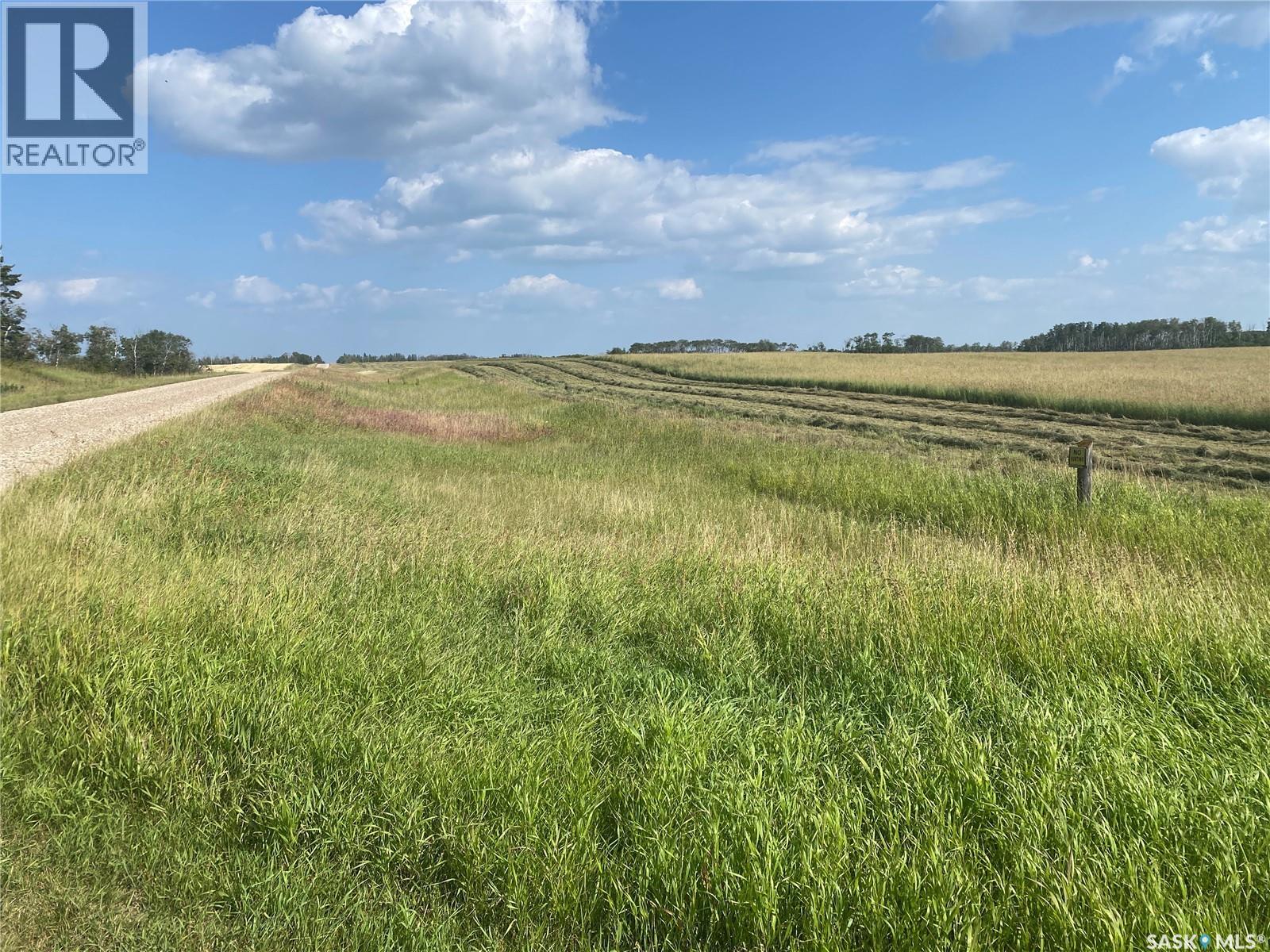 Leask Farmland, Leask Rm No. 464, Saskatchewan  S0J 1M0 - Photo 14 - SK046067