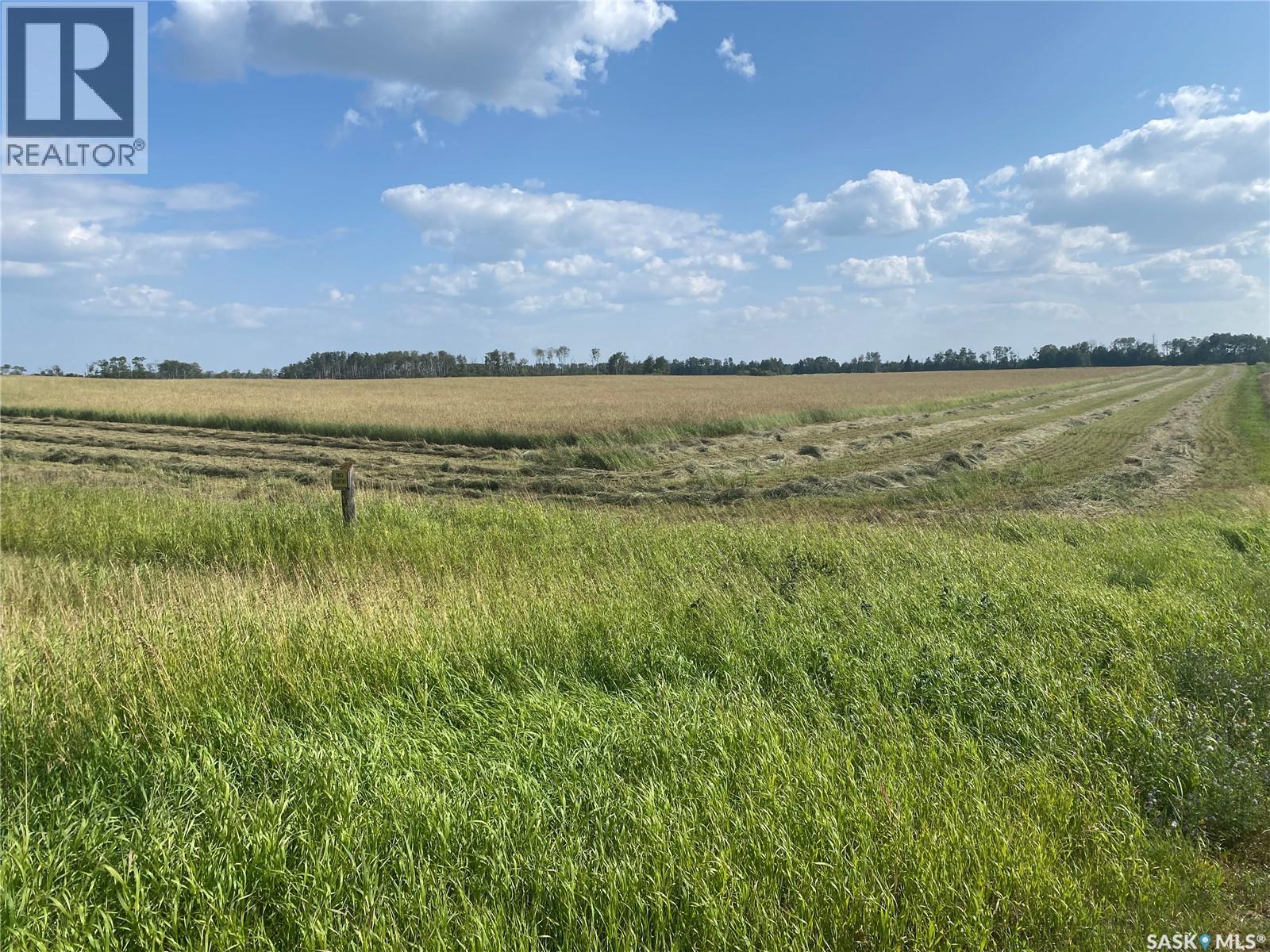 Leask Farmland, Leask Rm No. 464, Saskatchewan  S0J 1M0 - Photo 15 - SK046067