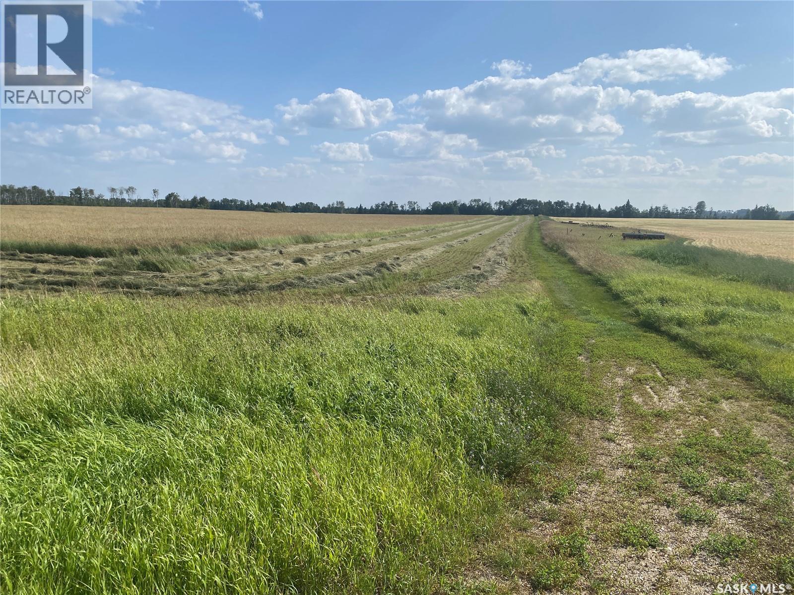 Leask Farmland, Leask Rm No. 464, Saskatchewan  S0J 1M0 - Photo 16 - SK046067