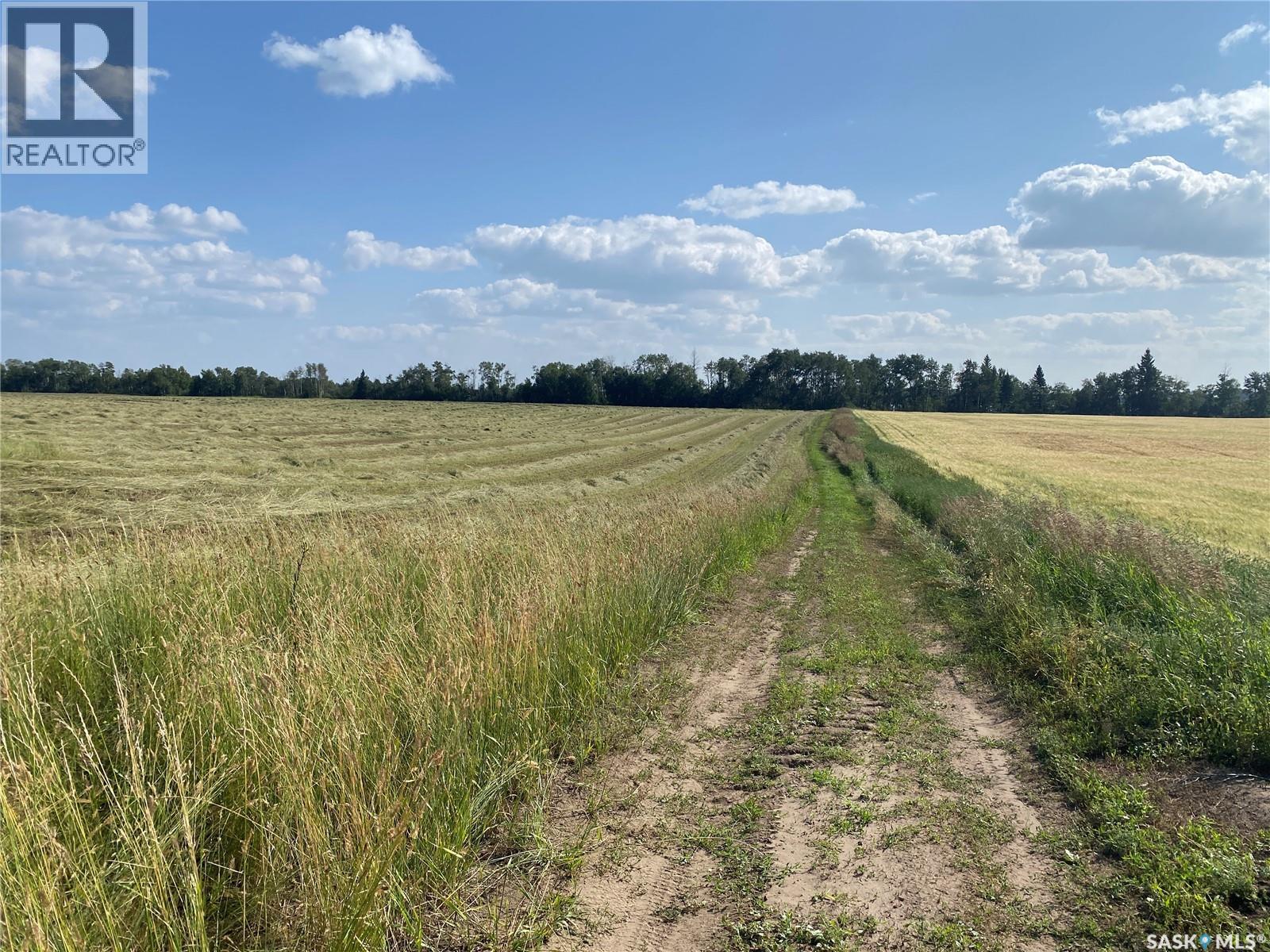 Leask Farmland, Leask Rm No. 464, Saskatchewan  S0J 1M0 - Photo 26 - SK046067