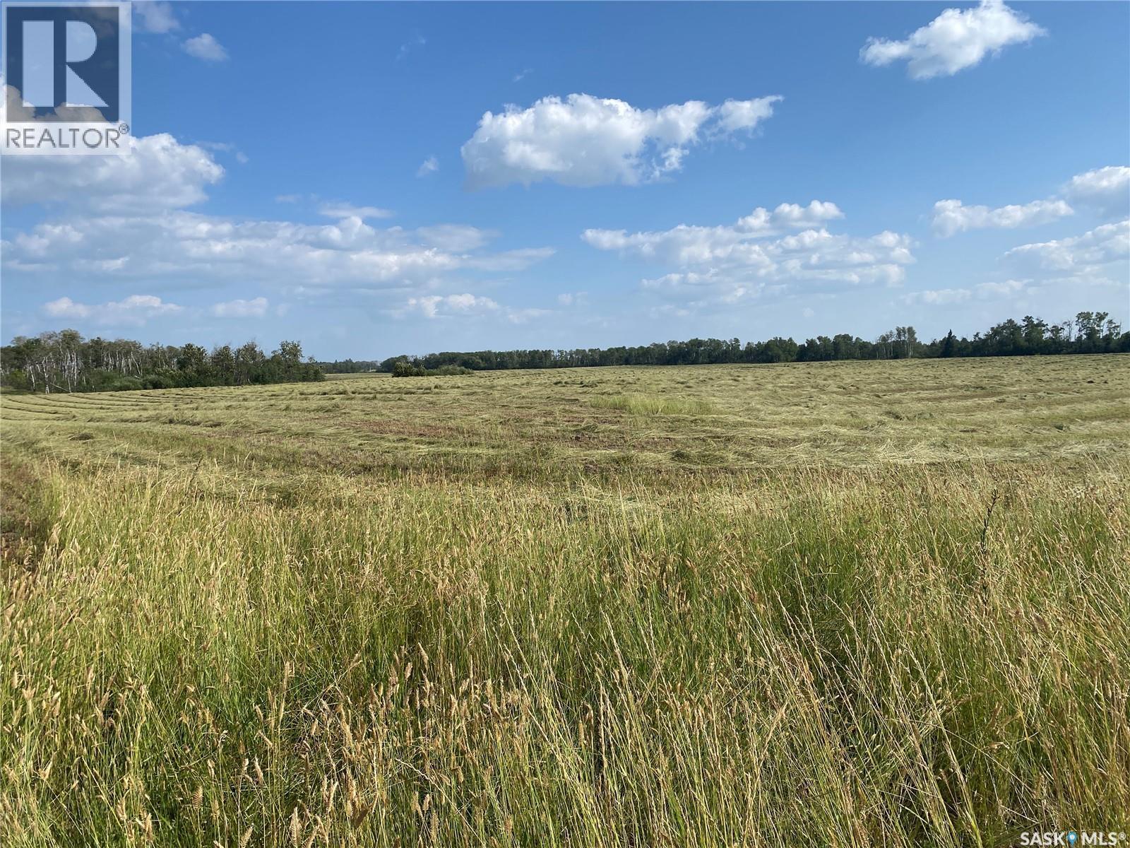 Leask Farmland, Leask Rm No. 464, Saskatchewan  S0J 1M0 - Photo 27 - SK046067