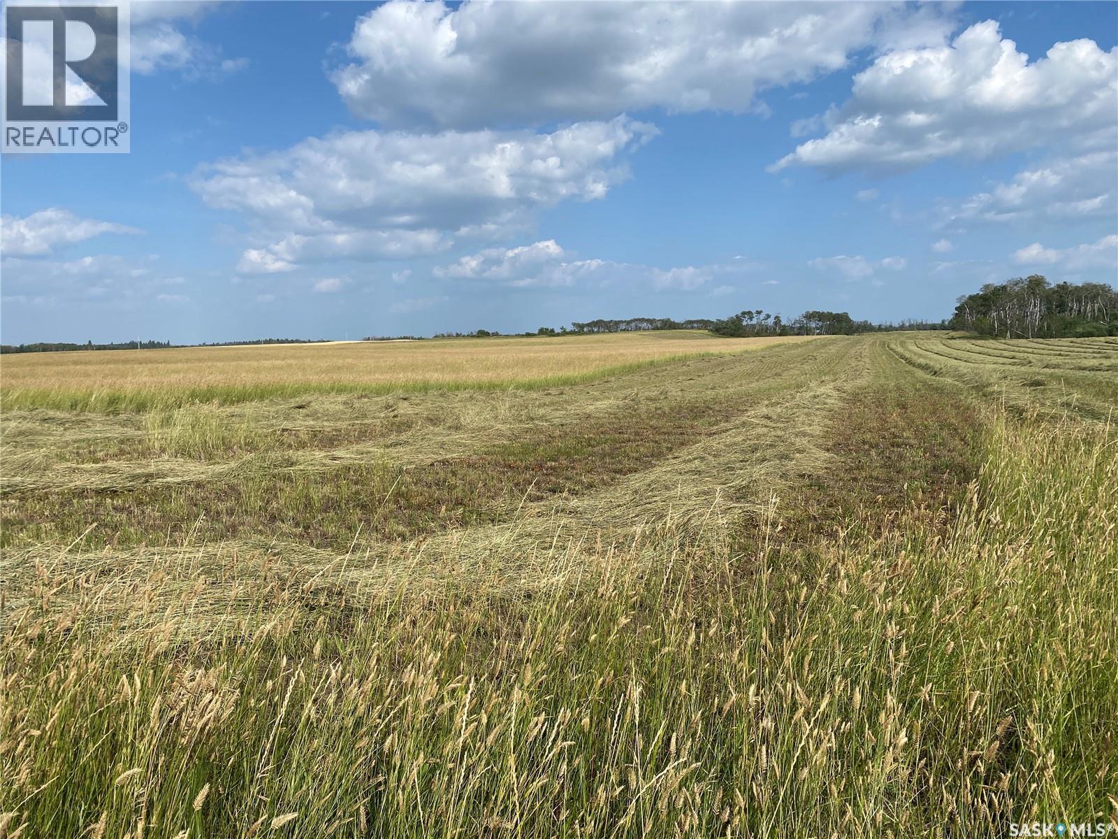 Leask Farmland, Leask Rm No. 464, Saskatchewan  S0J 1M0 - Photo 28 - SK046067