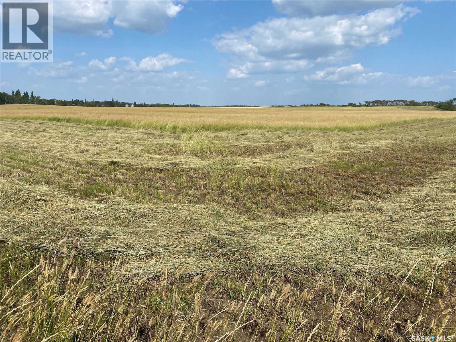Leask Farmland, Leask Rm No. 464, Saskatchewan  S0J 1M0 - Photo 29 - SK046067
