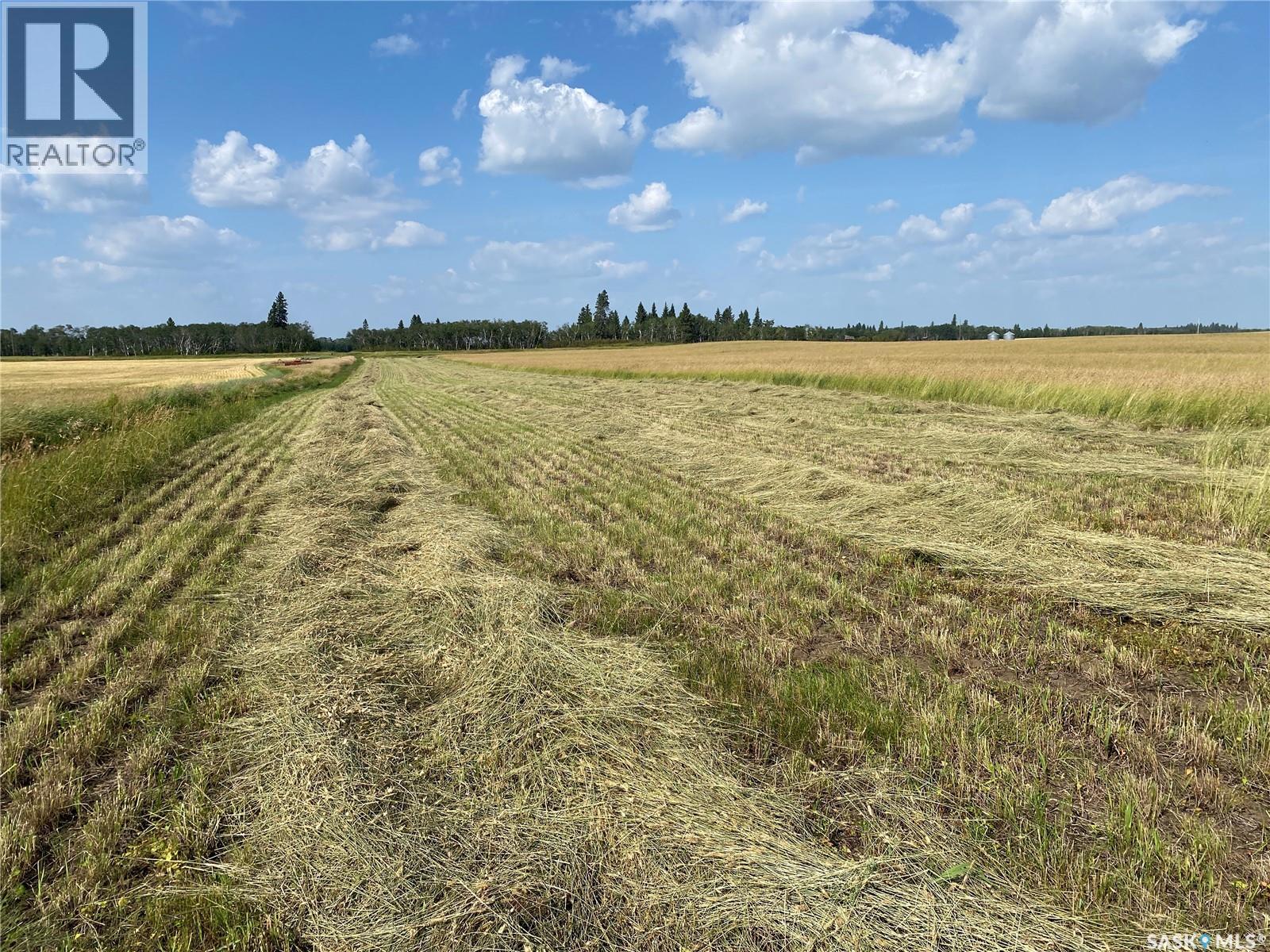 Leask Farmland, Leask Rm No. 464, Saskatchewan  S0J 1M0 - Photo 30 - SK046067