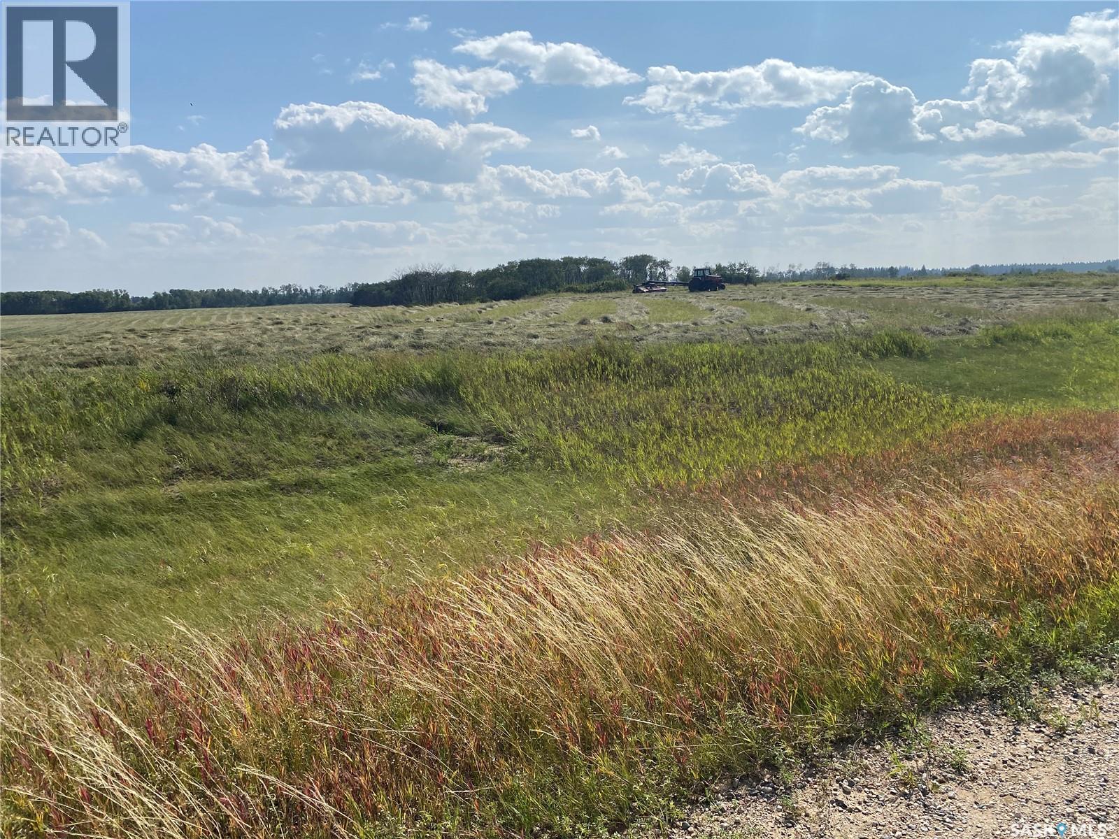 Leask Farmland, Leask Rm No. 464, Saskatchewan  S0J 1M0 - Photo 32 - SK046067