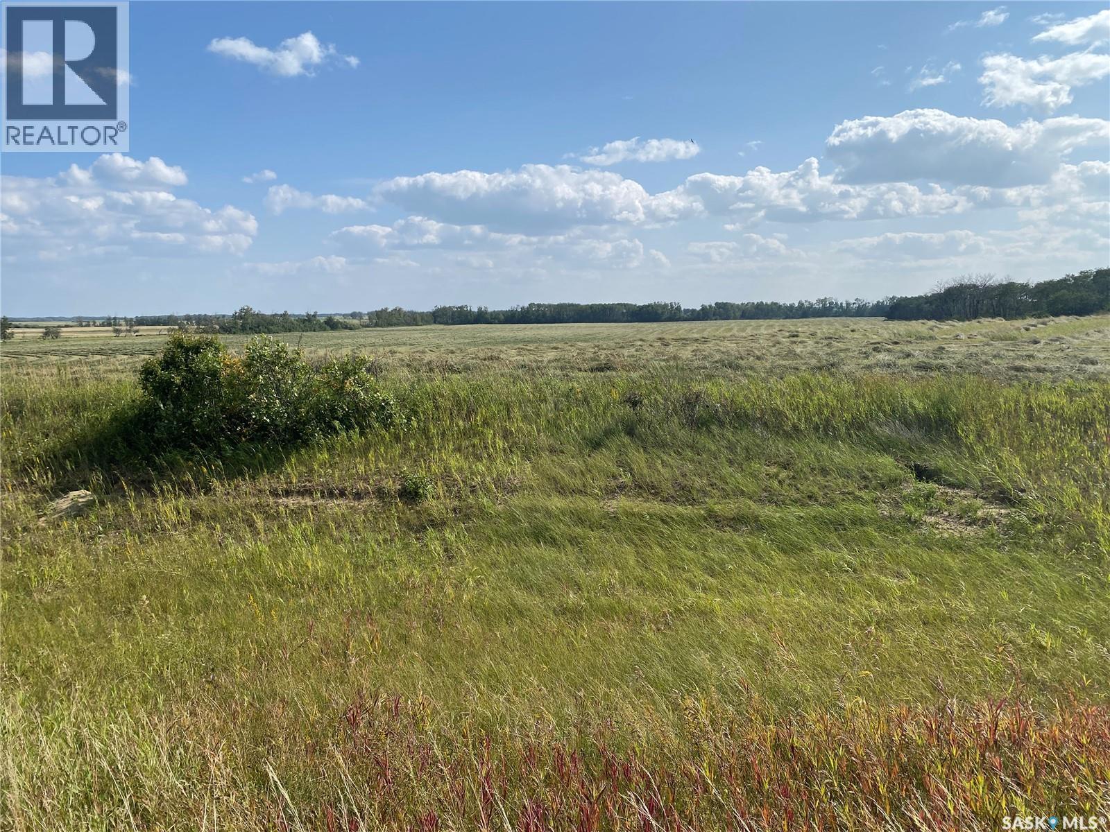Leask Farmland, Leask Rm No. 464, Saskatchewan  S0J 1M0 - Photo 33 - SK046067