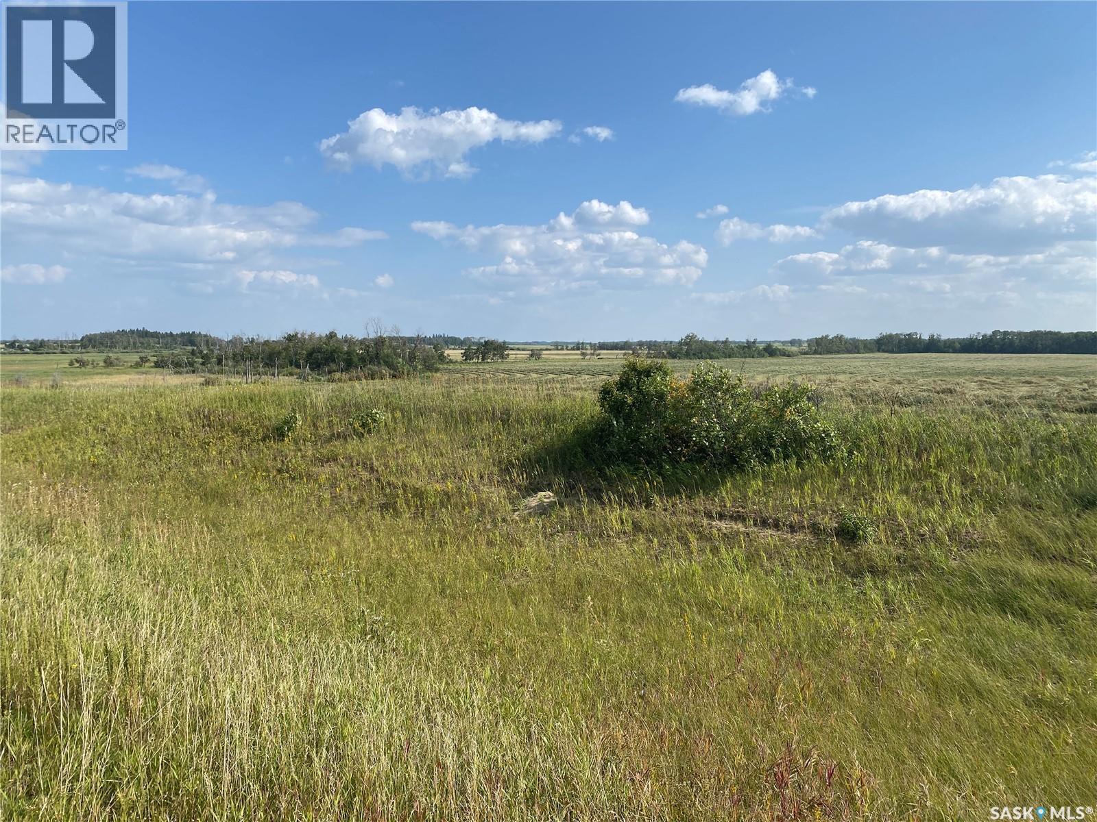 Leask Farmland, Leask Rm No. 464, Saskatchewan  S0J 1M0 - Photo 34 - SK046067