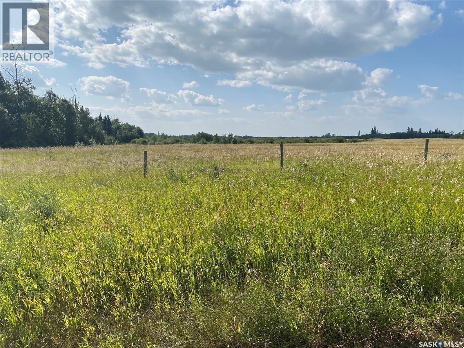 Leask Farmland, Leask Rm No. 464, Saskatchewan  S0J 1M0 - Photo 4 - SK046067