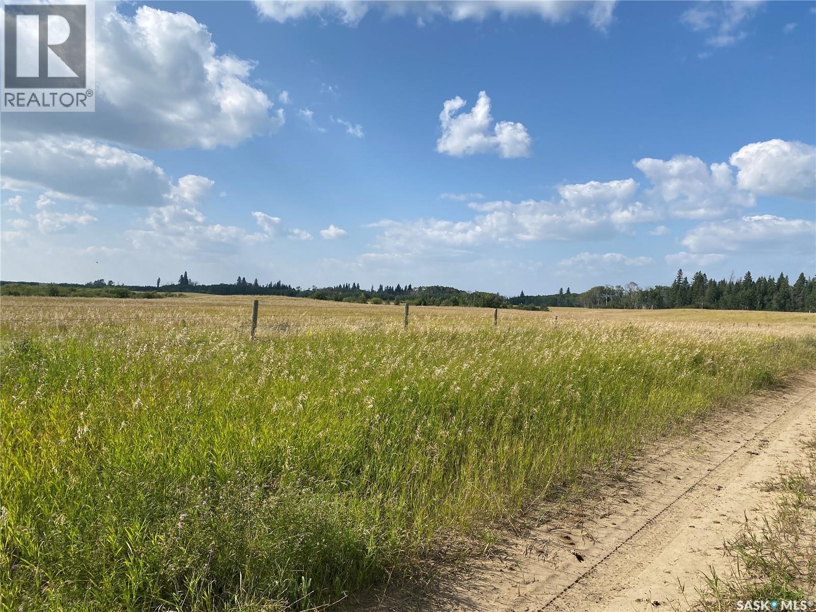 Leask Farmland, Leask Rm No. 464, Saskatchewan  S0J 1M0 - Photo 5 - SK046067