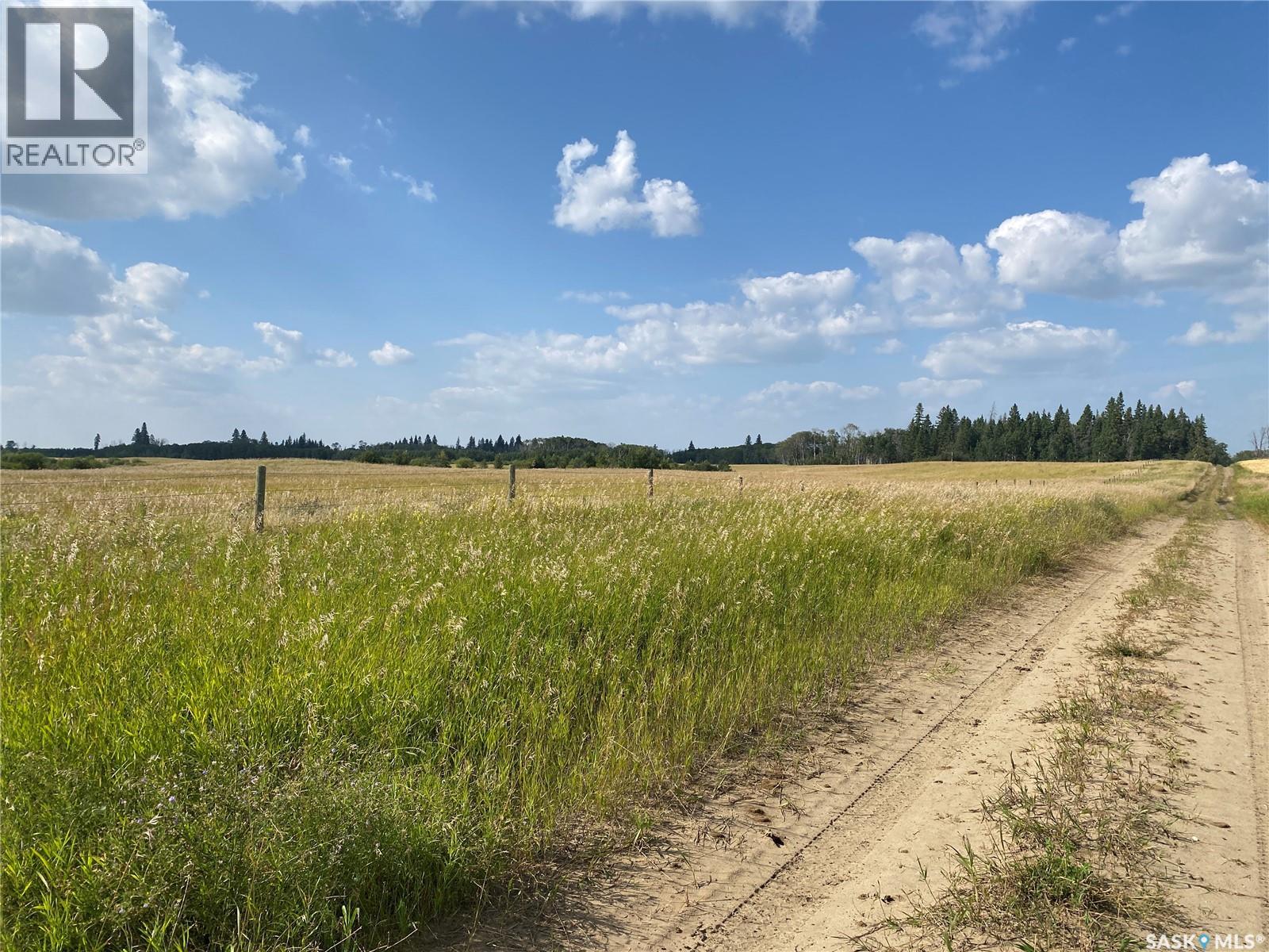 Leask Farmland, Leask Rm No. 464, Saskatchewan  S0J 1M0 - Photo 6 - SK046067