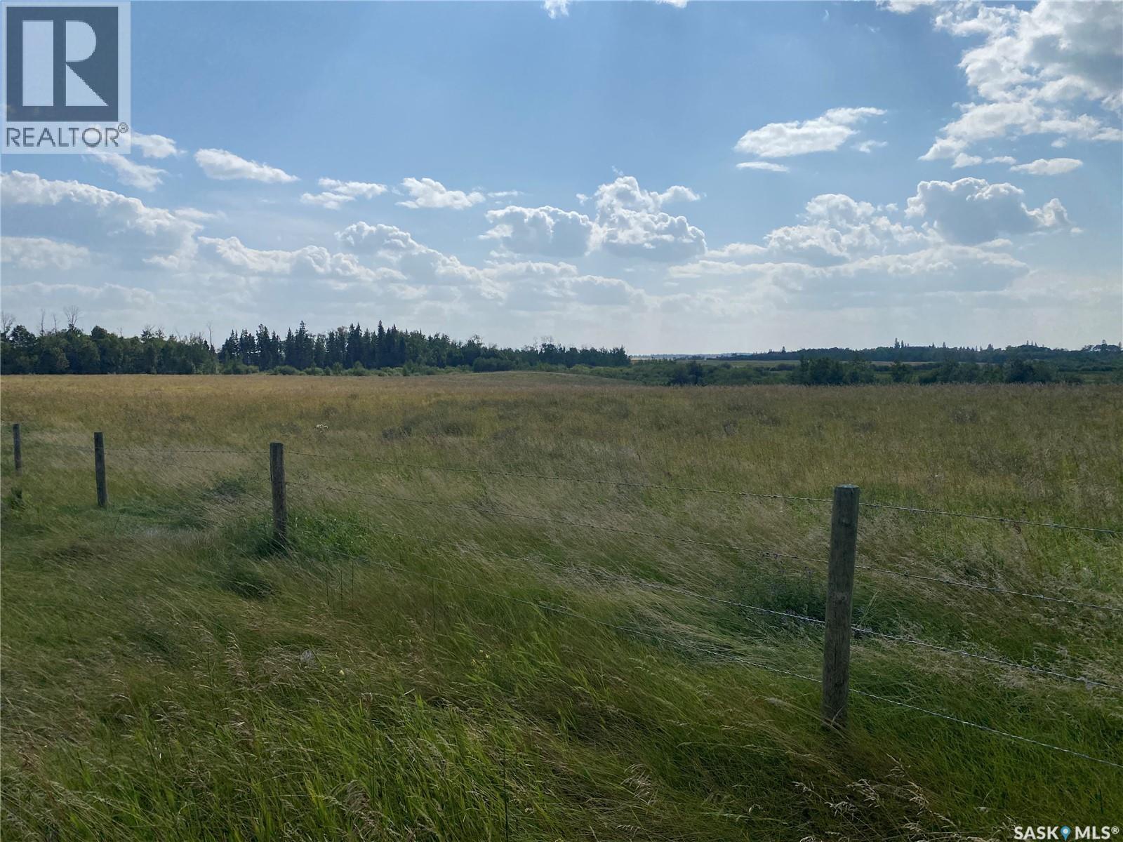 Leask Farmland, Leask Rm No. 464, Saskatchewan  S0J 1M0 - Photo 7 - SK046067