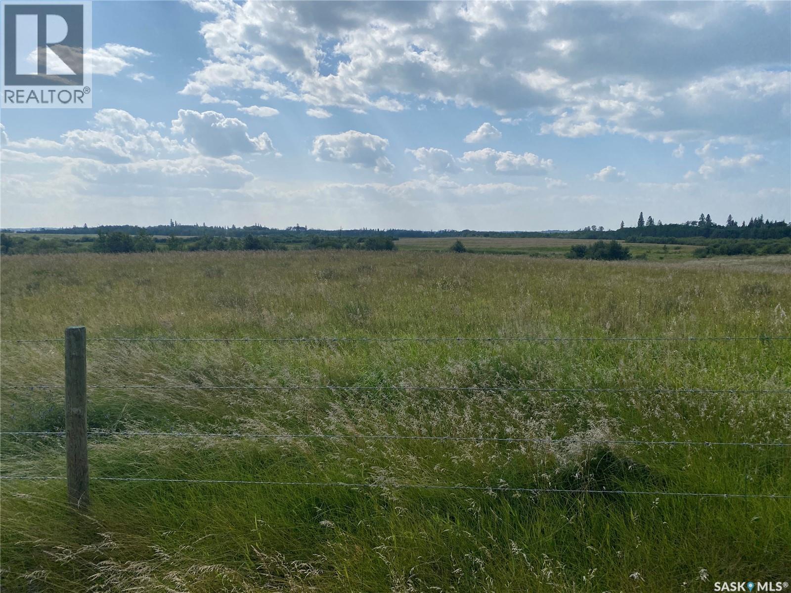 Leask Farmland, Leask Rm No. 464, Saskatchewan  S0J 1M0 - Photo 8 - SK046067