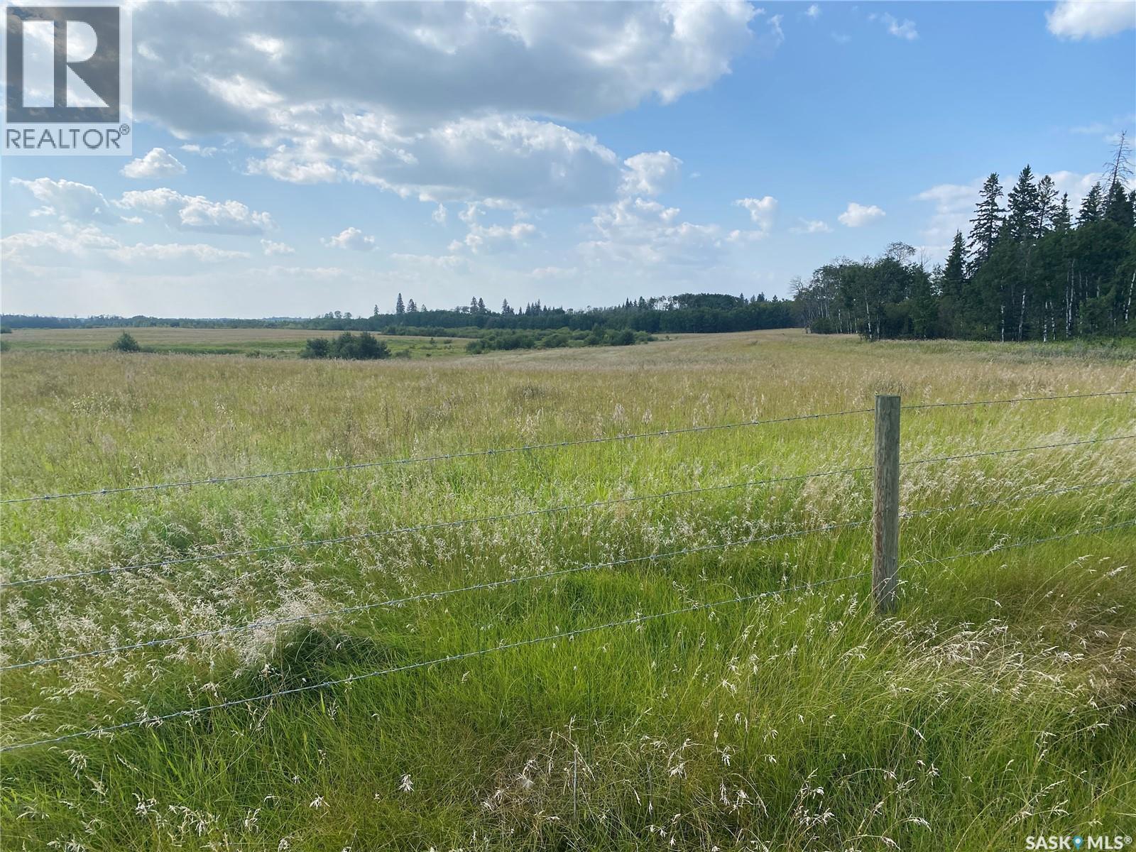 Leask Farmland, Leask Rm No. 464, Saskatchewan  S0J 1M0 - Photo 9 - SK046067