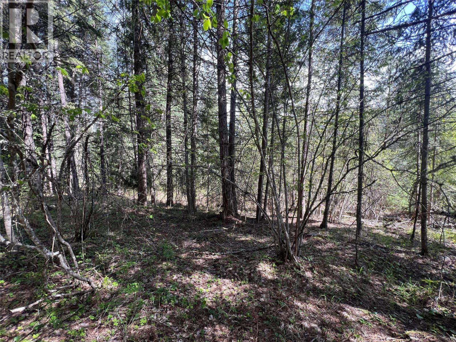 Lot 2 Lois Lane, Winlaw, British Columbia  V0G 2J0 - Photo 6 - 10380184