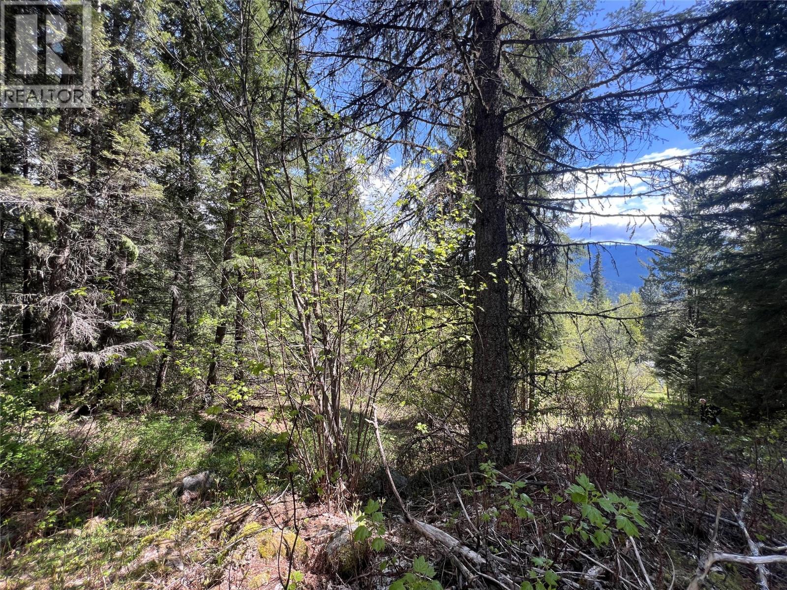 Lot 2 Lois Lane, Winlaw, British Columbia  V0G 2J0 - Photo 1 - 10380184