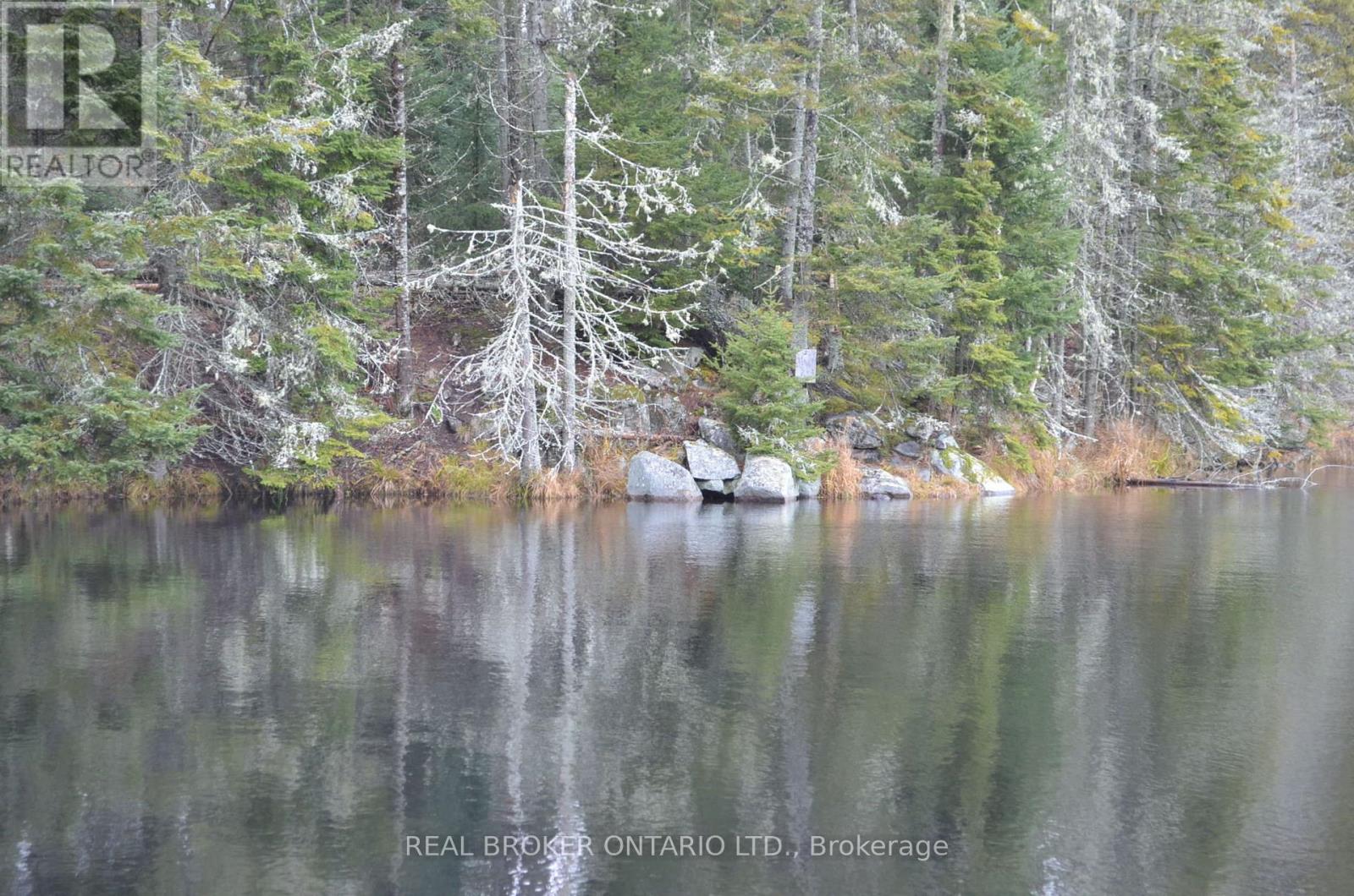 1555 Minnicock Lake Road, Dysart Et Al, Ontario  K0M 1S0 - Photo 10 - X13701100