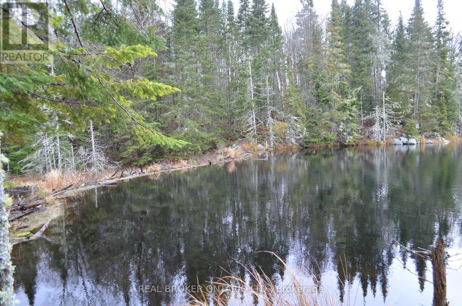 1555 Minnicock Lake Road, Dysart Et Al, Ontario  K0M 1S0 - Photo 11 - X13701100