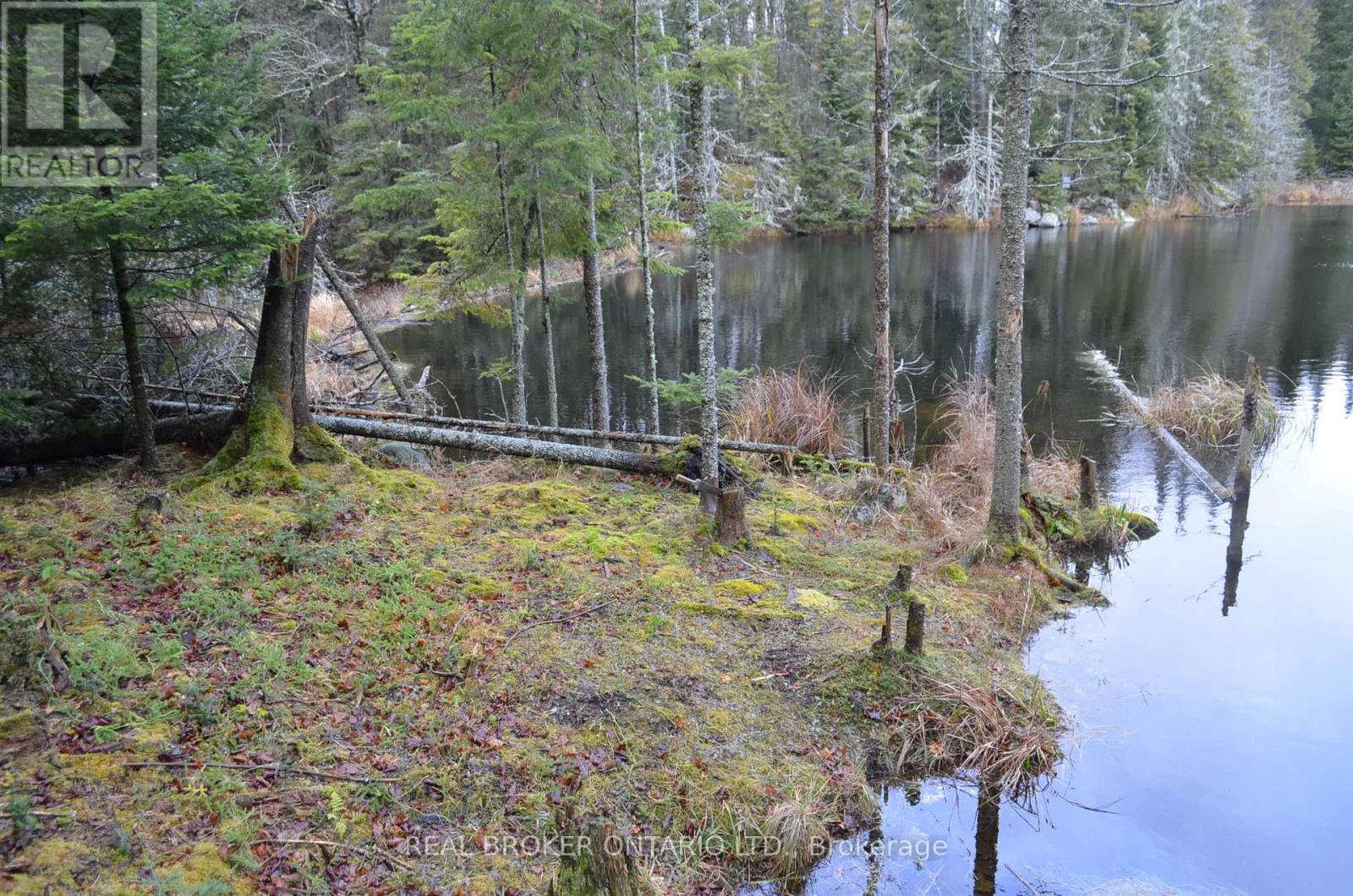 1555 Minnicock Lake Road, Dysart Et Al, Ontario  K0M 1S0 - Photo 12 - X13701100