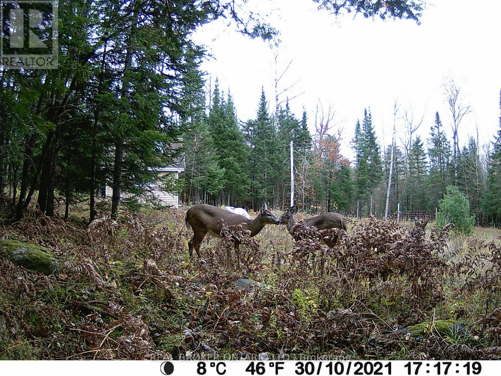 1555 Minnicock Lake Road, Dysart Et Al, Ontario  K0M 1S0 - Photo 13 - X13701100