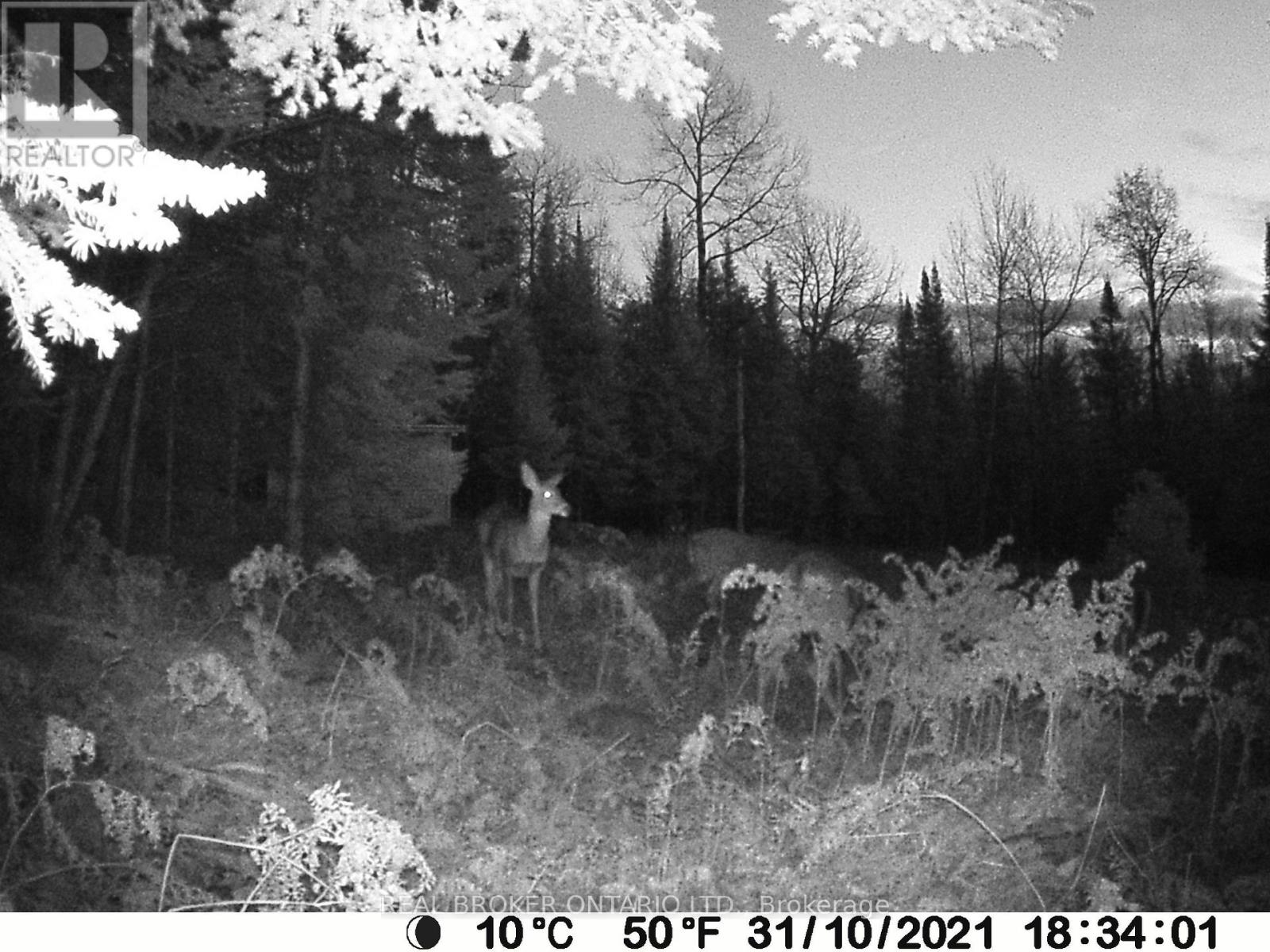 1555 Minnicock Lake Road, Dysart Et Al, Ontario  K0M 1S0 - Photo 14 - X13701100