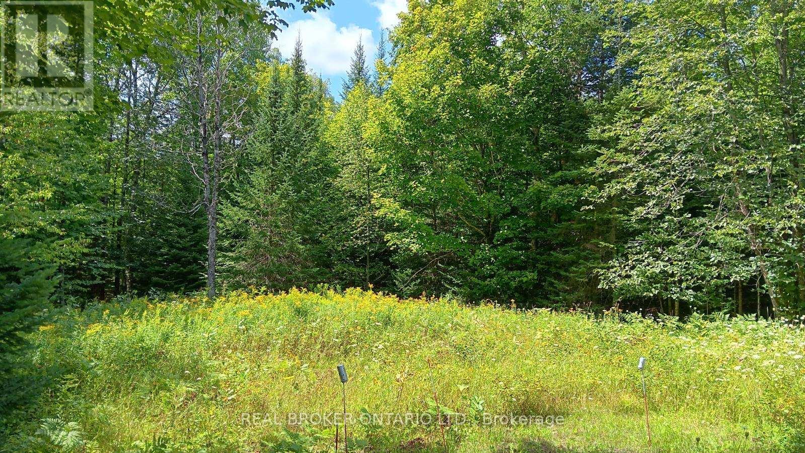 1555 Minnicock Lake Road, Dysart Et Al, Ontario  K0M 1S0 - Photo 19 - X13701100