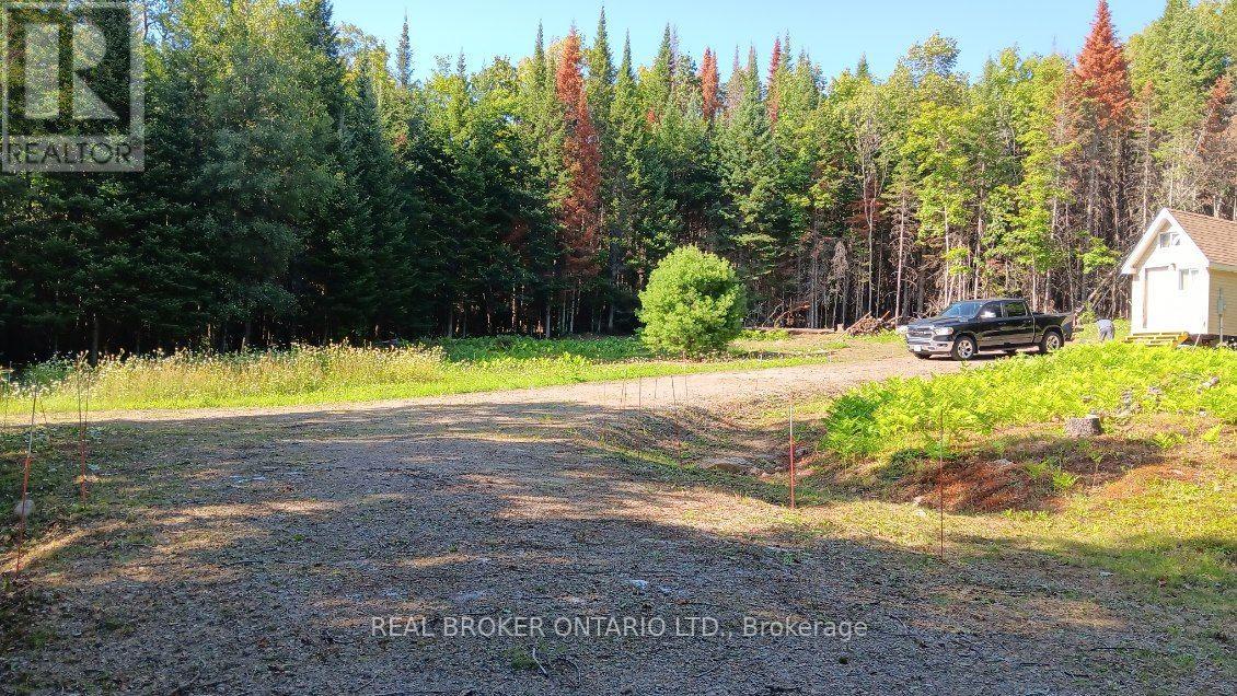 1555 Minnicock Lake Road, Dysart Et Al, Ontario  K0M 1S0 - Photo 4 - X13701100