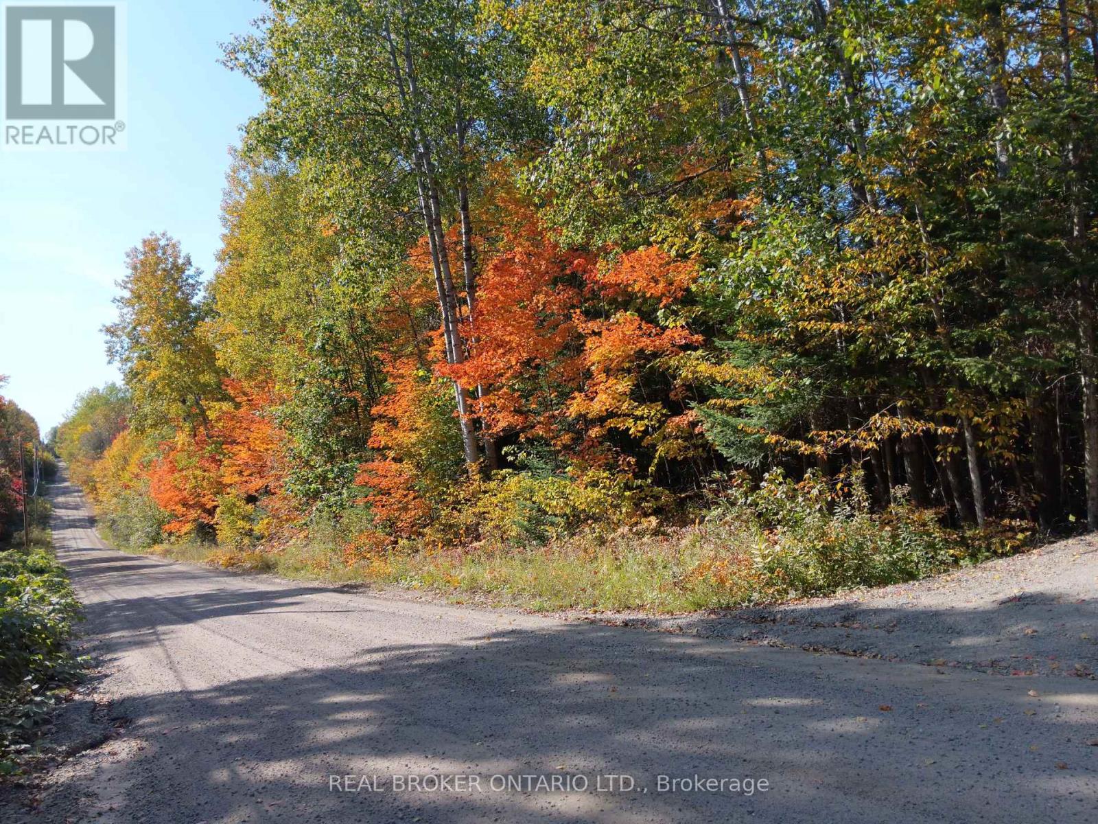 1555 Minnicock Lake Road, Dysart Et Al, Ontario  K0M 1S0 - Photo 6 - X13701100