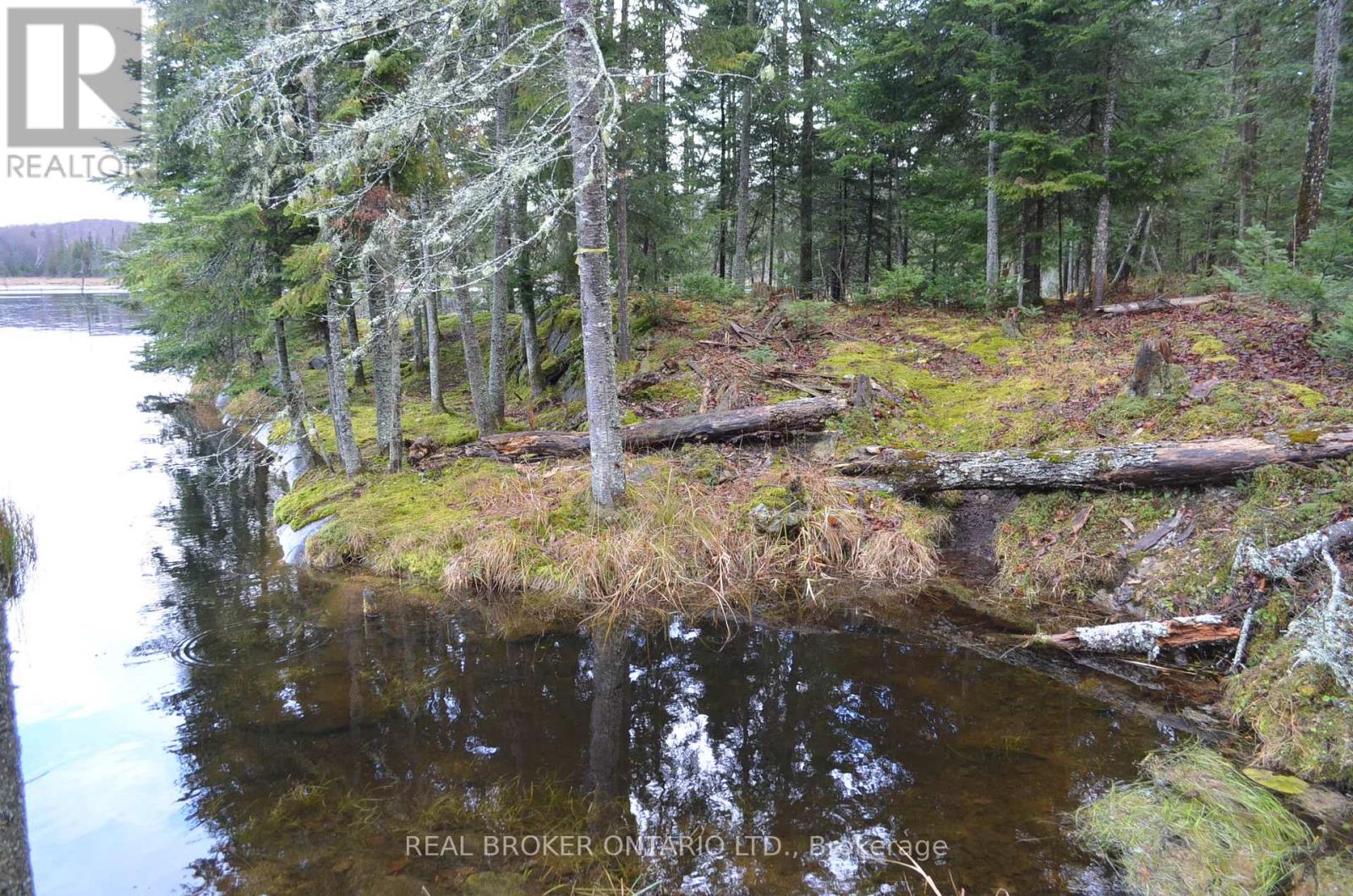 1555 Minnicock Lake Road, Dysart Et Al, Ontario  K0M 1S0 - Photo 8 - X13701100
