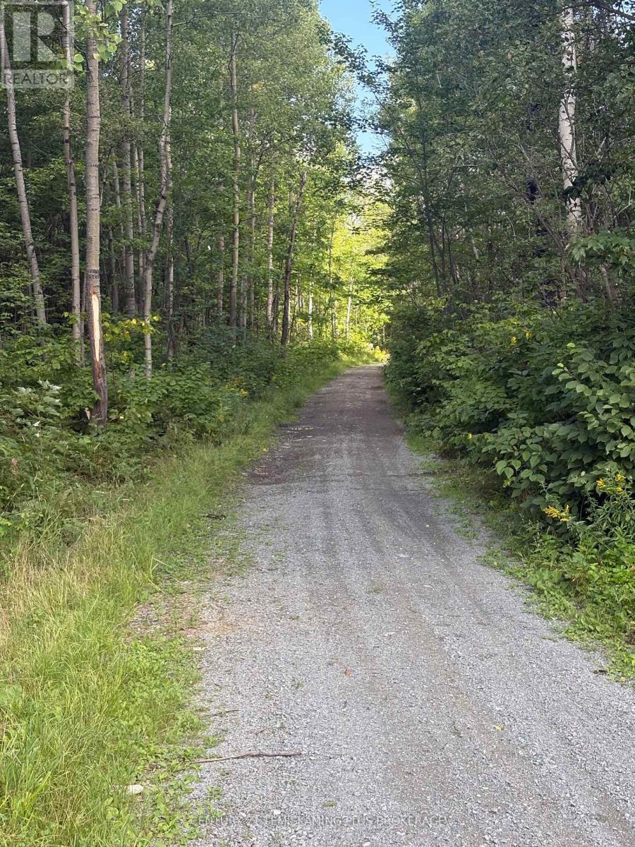 974381 Hwy 567 Highway, Timiskaming, Ontario  P0J 1K0 - Photo 23 - T13686164