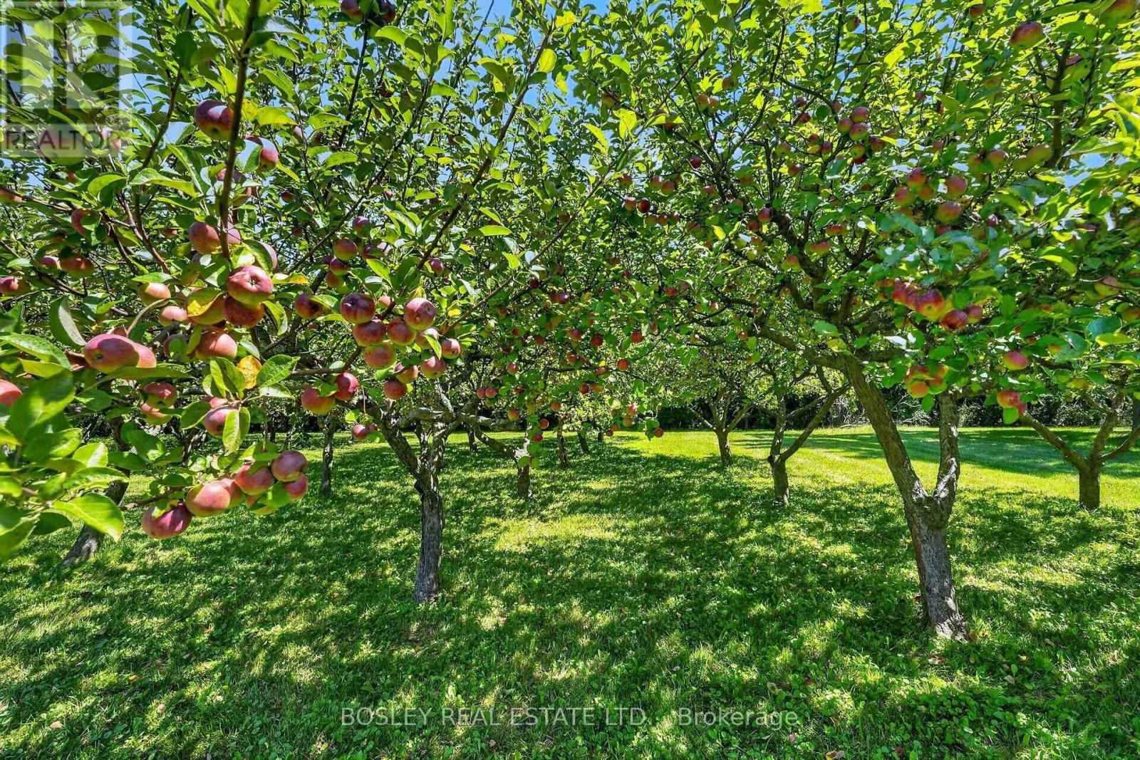 1073 Concession 2 Road, Niagara-On-The-Lake, Ontario  L0S 1J0 - Photo 25 - X13701224