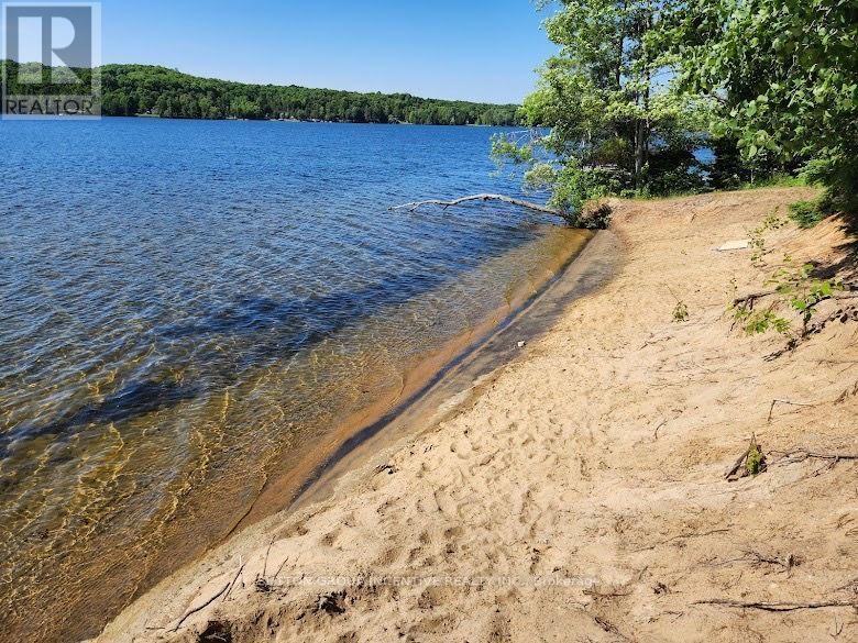 1093 Kushog Lake Road, Minden Hills, Ontario  K0M 2K0 - Photo 47 - X13548032