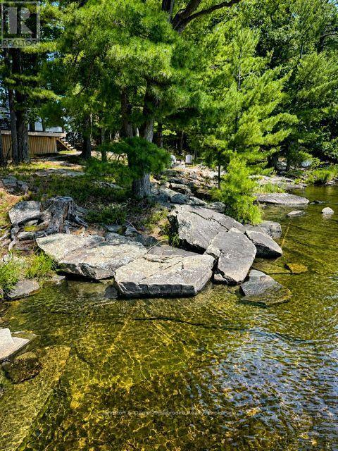 456 Eilean Gowan Island, Bracebridge, Ontario  P1P 1R2 - Photo 10 - X13701360