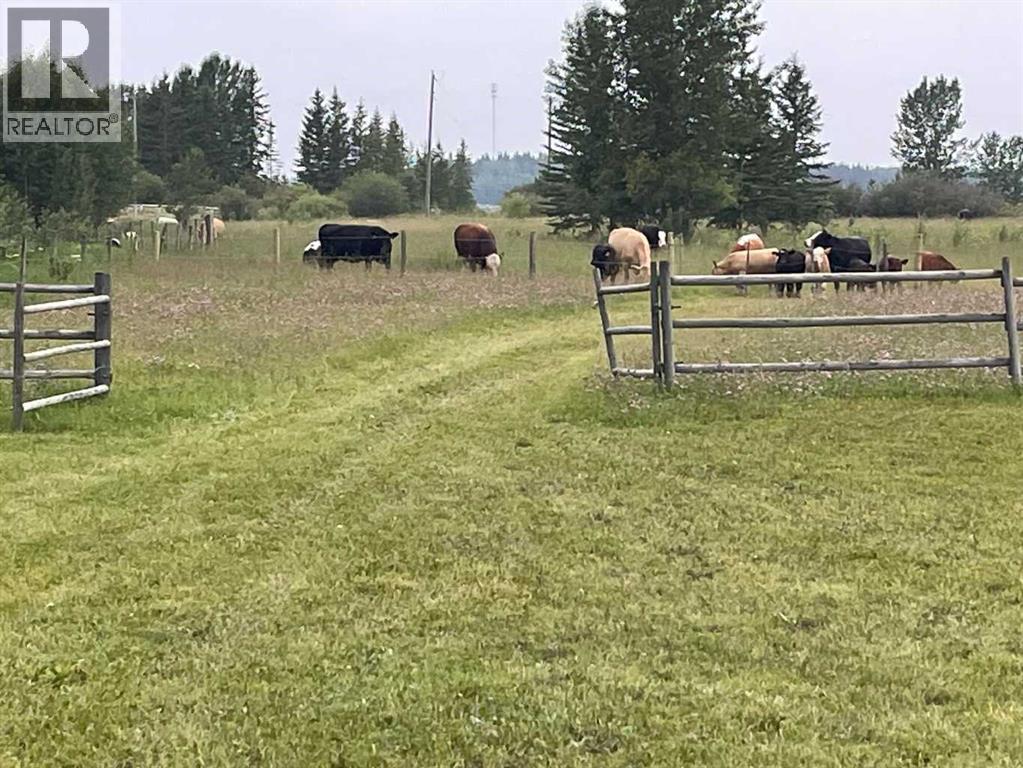 34331 Range Road 41 Road S, Rural Red Deer County, Alberta  T0M 0K0 - Photo 21 - A2294621