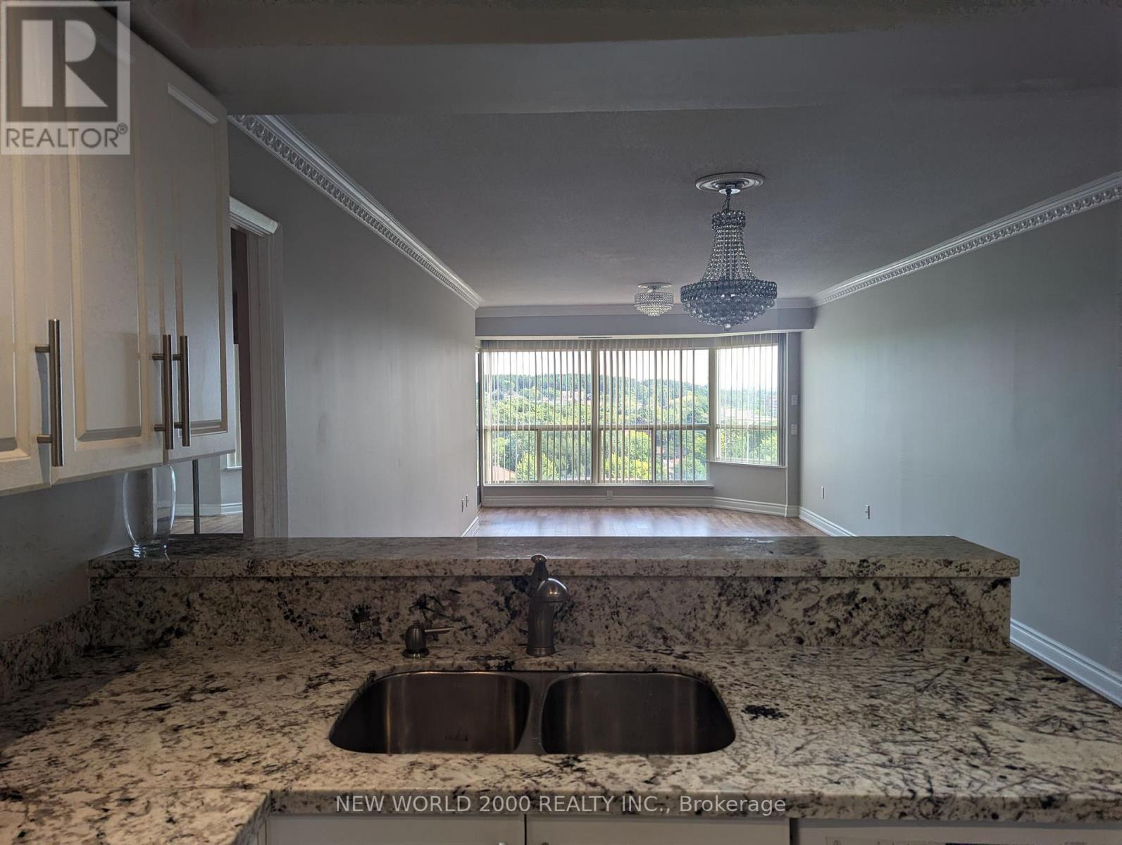 902 - 175 Cedar Avenue, Richmond Hill, Ontario  L4C 9V3 - Photo 10 - N13692198