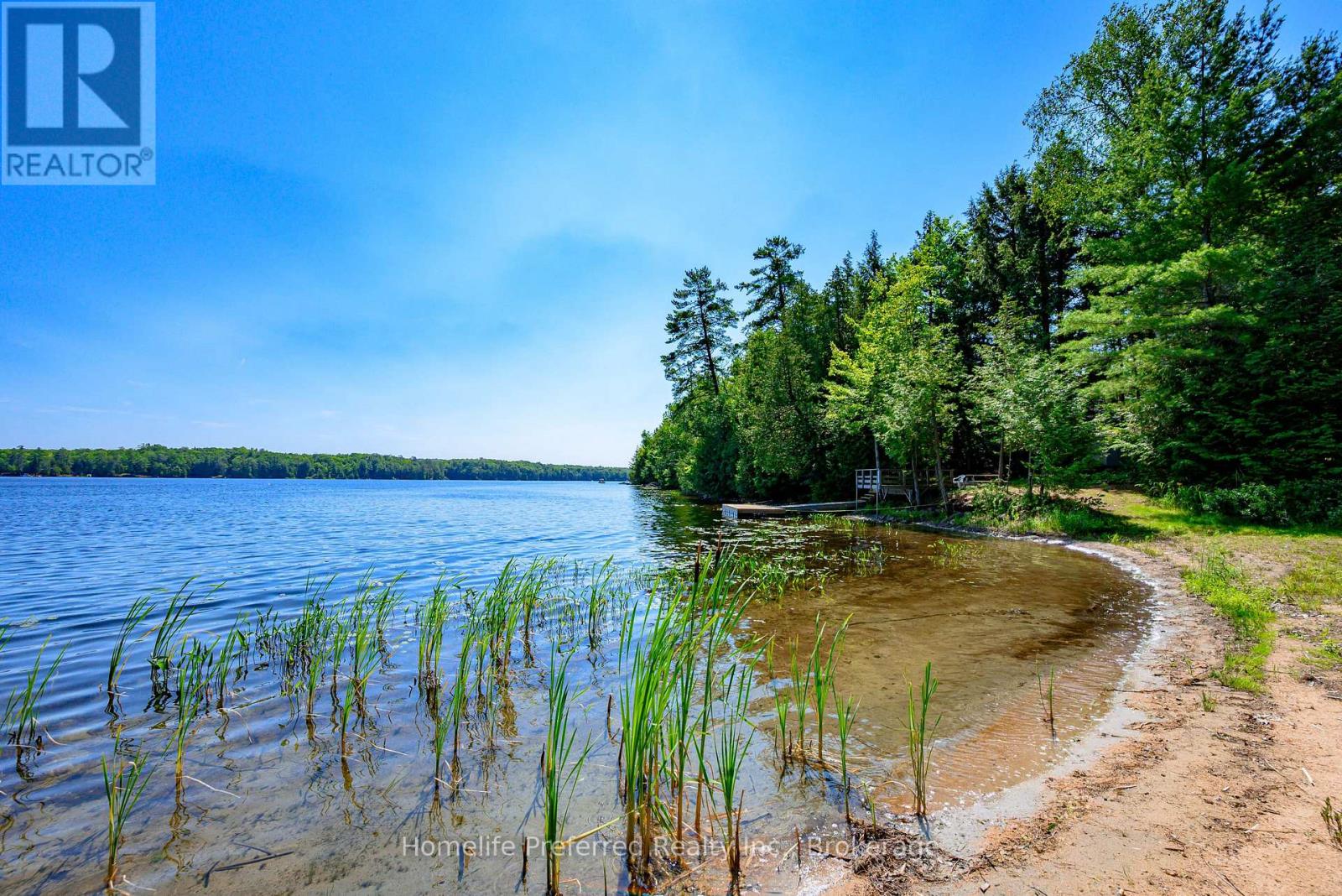 469 Skene Road, Marmora And Lake, Ontario  K0L 1W0 - Photo 42 - X13554964