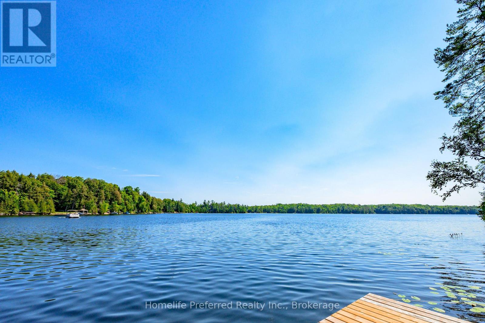 469 Skene Road, Marmora And Lake, Ontario  K0L 1W0 - Photo 47 - X13554964
