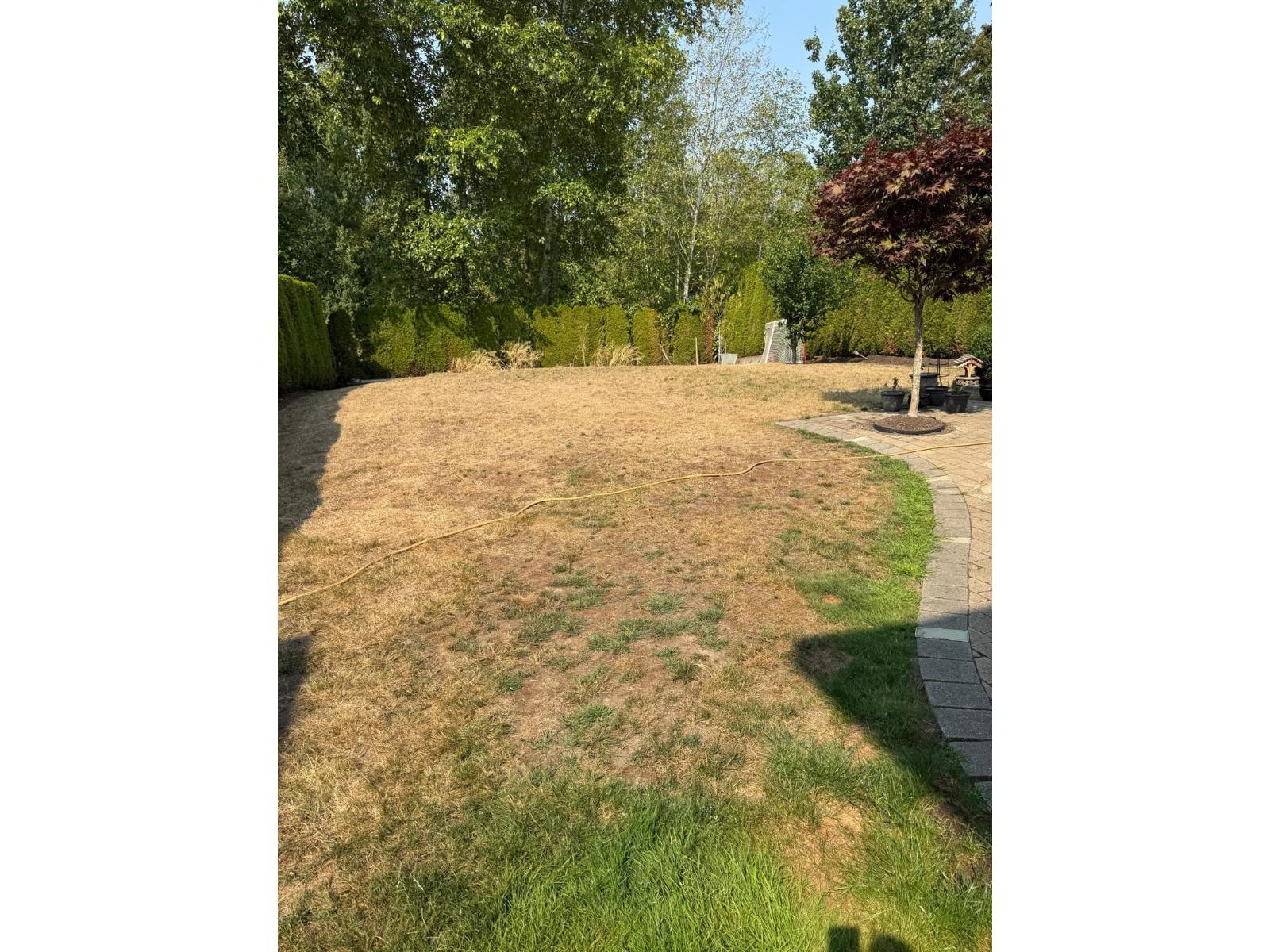 17351 64a Avenue, Surrey, British Columbia  V3S 0P5 - Photo 21 - R3157348