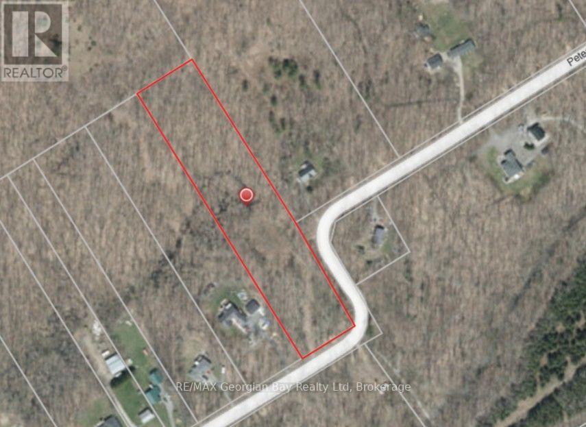 168 Peter Street E, Oro-Medonte, Ontario  L0K 2C0 - Photo 8 - S13701510