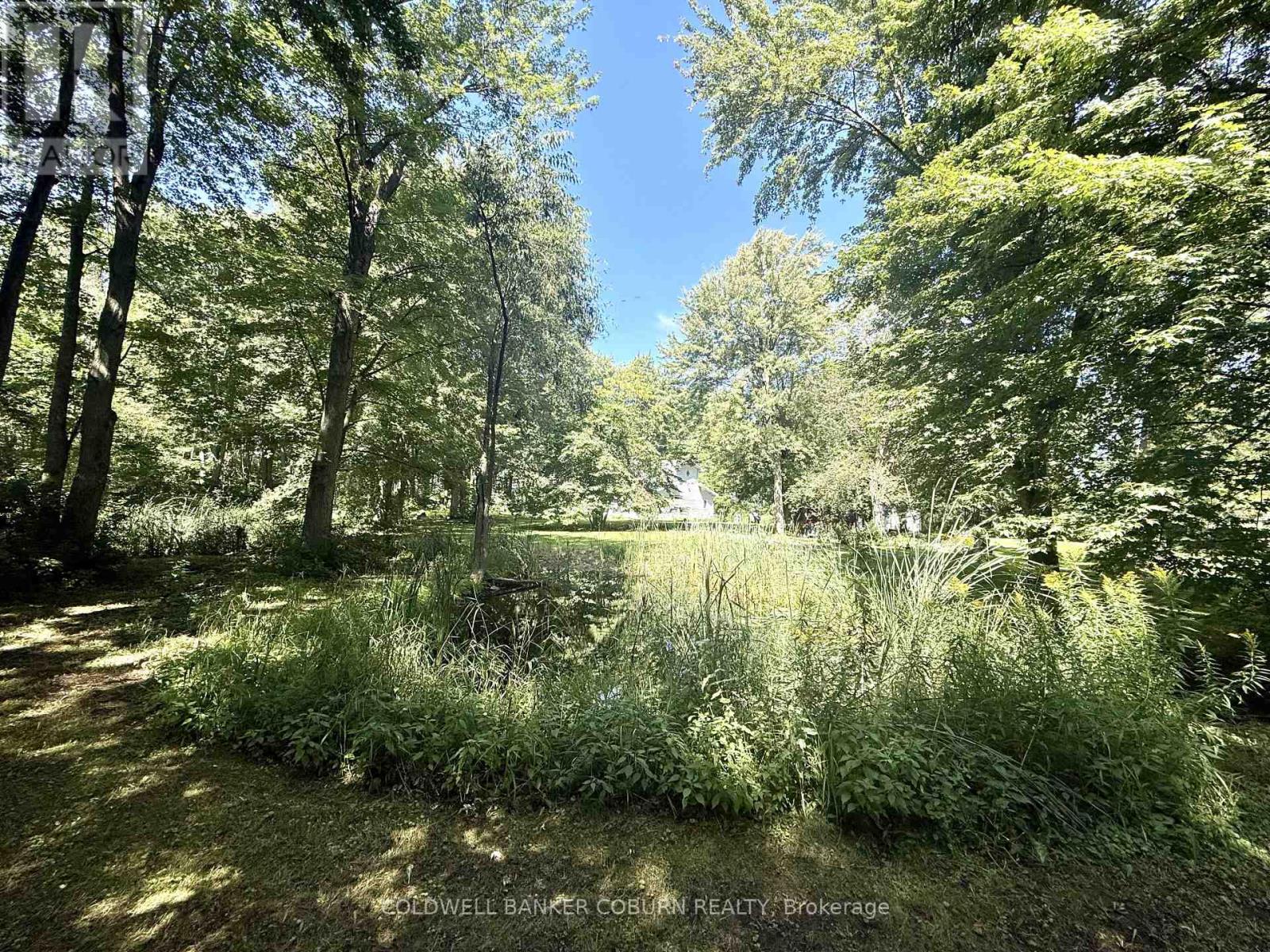 4808 Flagg Road, South Dundas, Ontario  K0E 1K0 - Photo 41 - X13699080