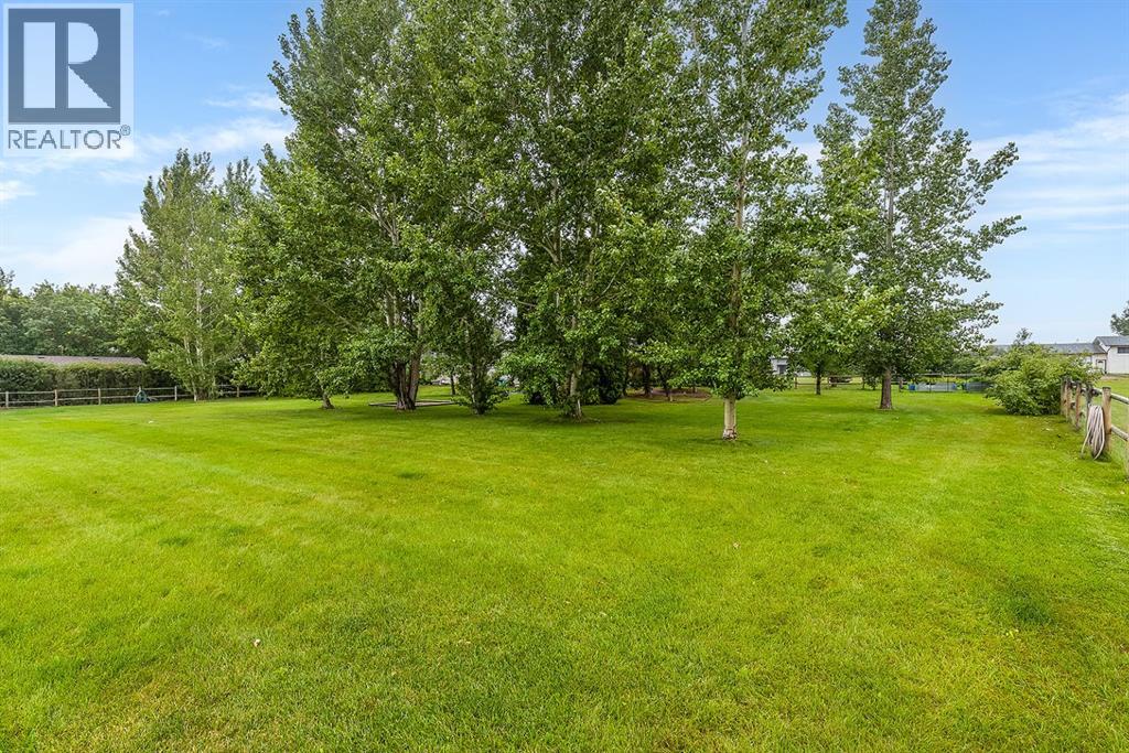 22 5 Avenue, Seven Persons, Alberta  T0K 1Z0 - Photo 50 - A2337485