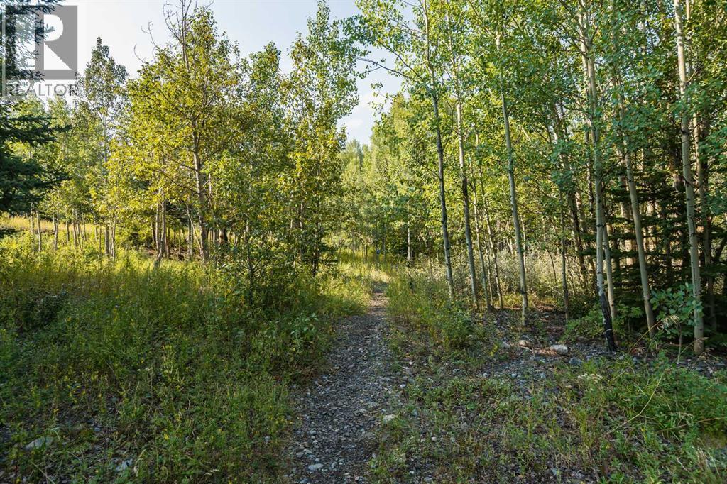 41, 300 2 Avenue, Dead Man's Flats, Alberta  T1W 2W4 - Photo 29 - A2338677