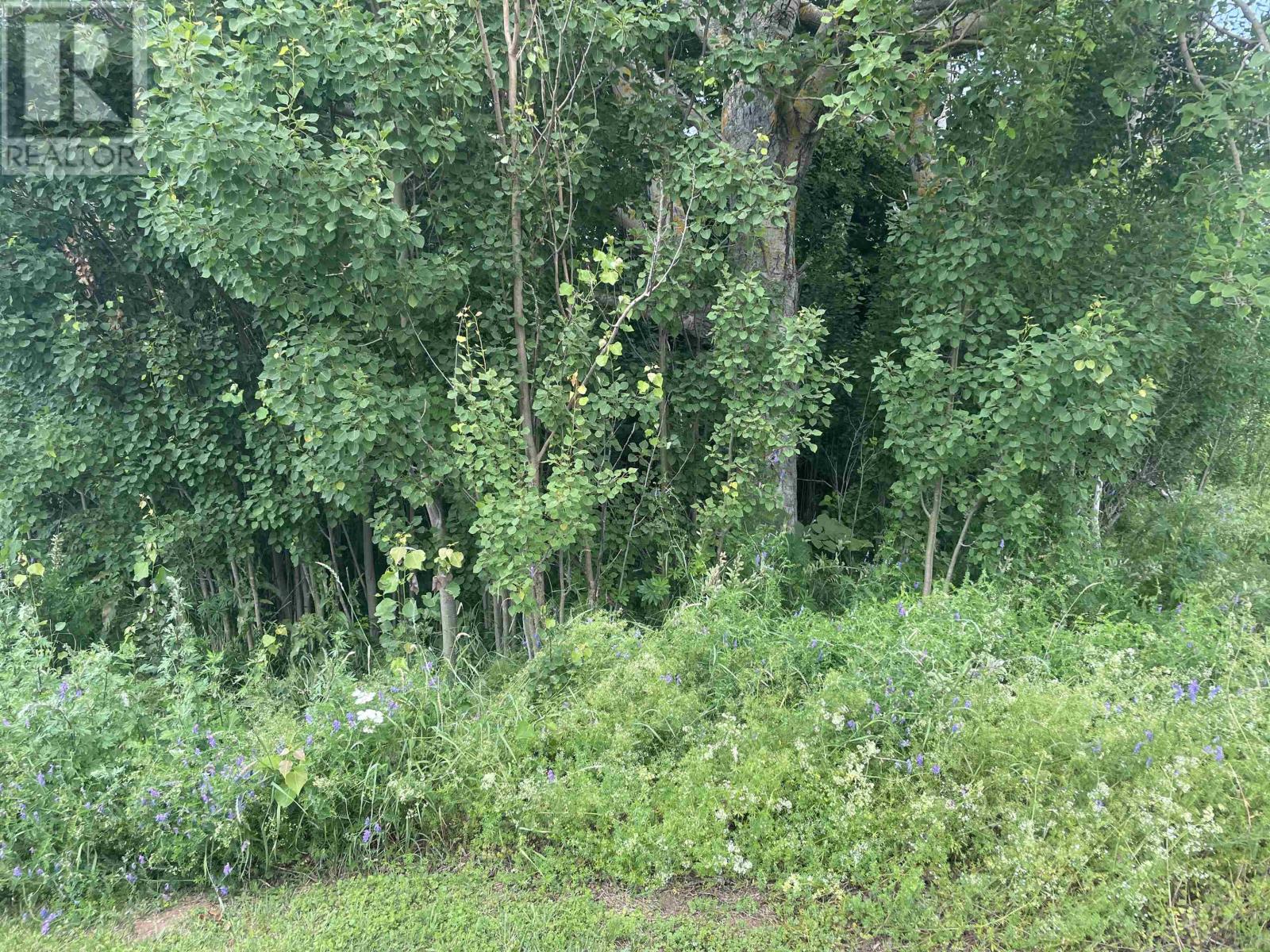 786 Route 10, Augustine Cove, Prince Edward Island  C0B 1X0 - Photo 13 - 202621241
