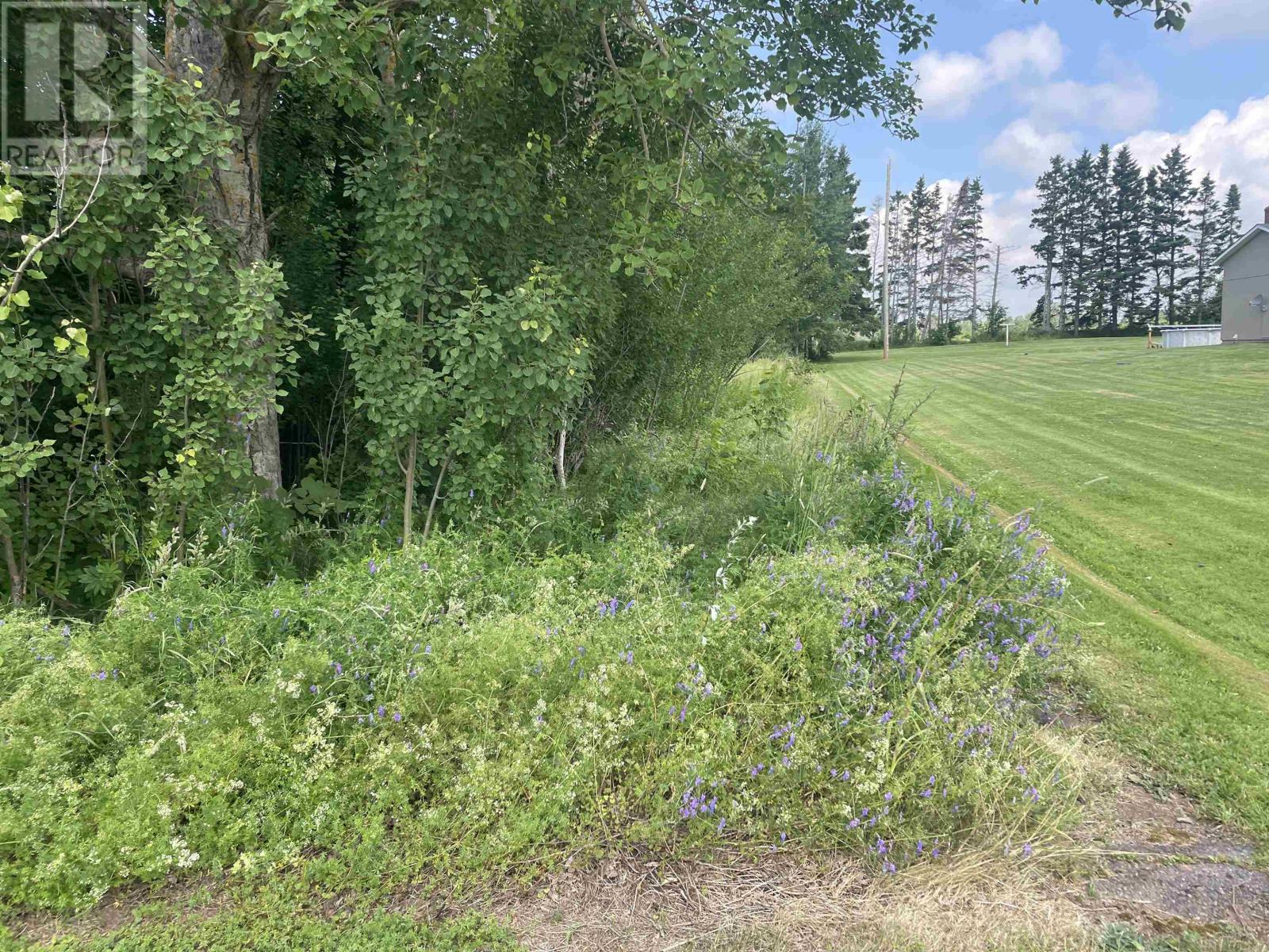 786 Route 10, Augustine Cove, Prince Edward Island  C0B 1X0 - Photo 14 - 202621241