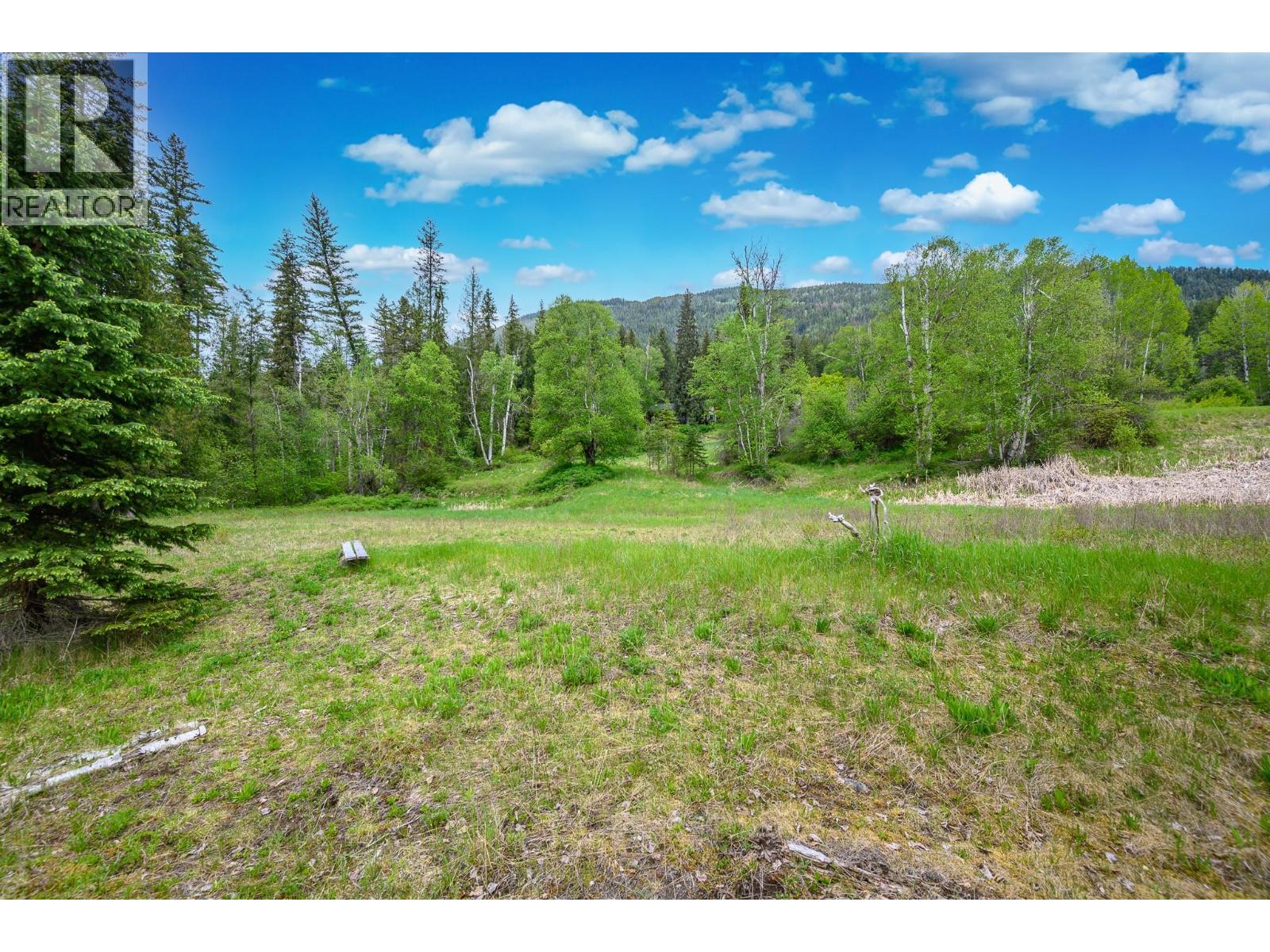 522 North Fork Road, Cherryville, British Columbia  V0E 2G0 - Photo 50 - 10387867