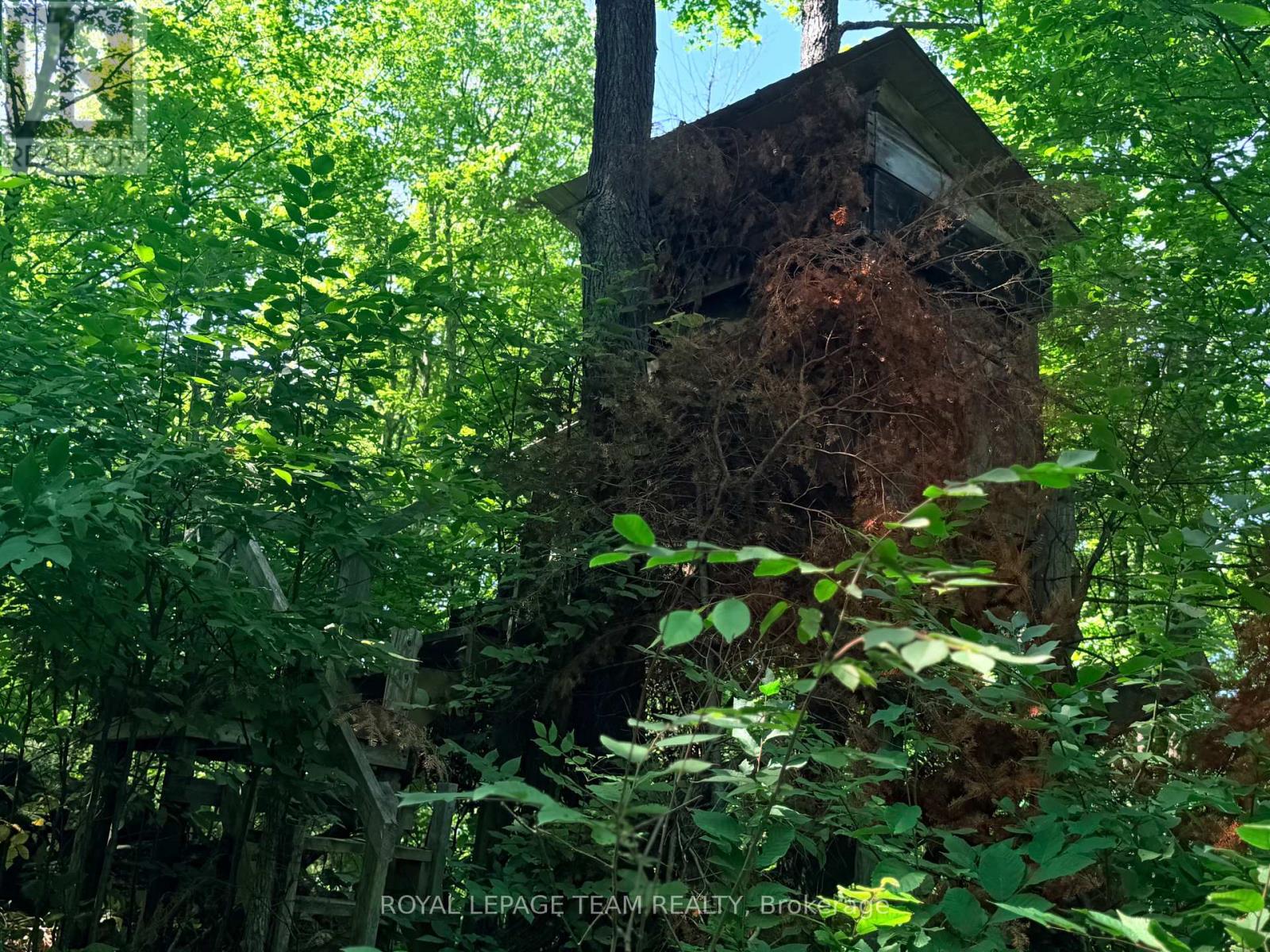 1506 Whelan Road, Admaston/bromley, Ontario  K7V 3Z7 - Photo 33 - X13702102