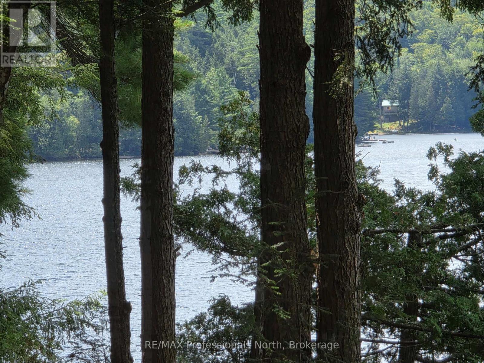 20871 Highway 35, Algonquin Highlands, Ontario  K0M 1S0 - Photo 46 - X13138264