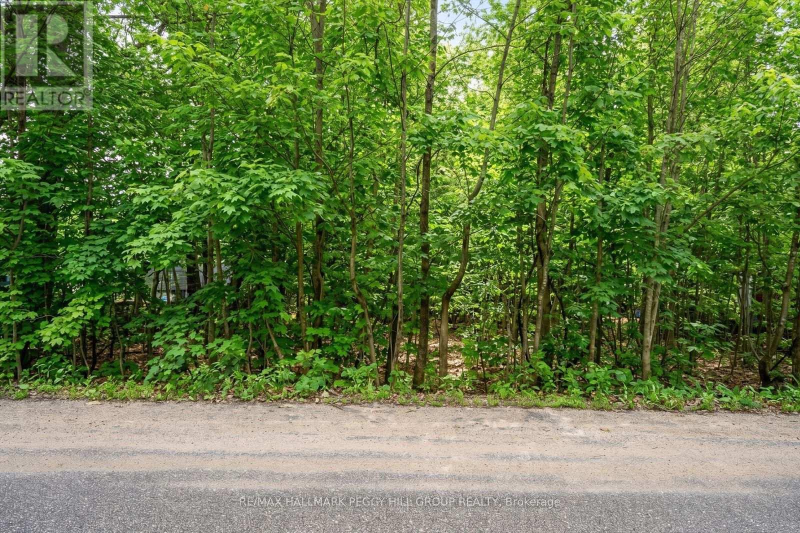 17 Valleyview Drive, Oro-Medonte, Ontario L0K 1N0 - Photo 3 - S13702114